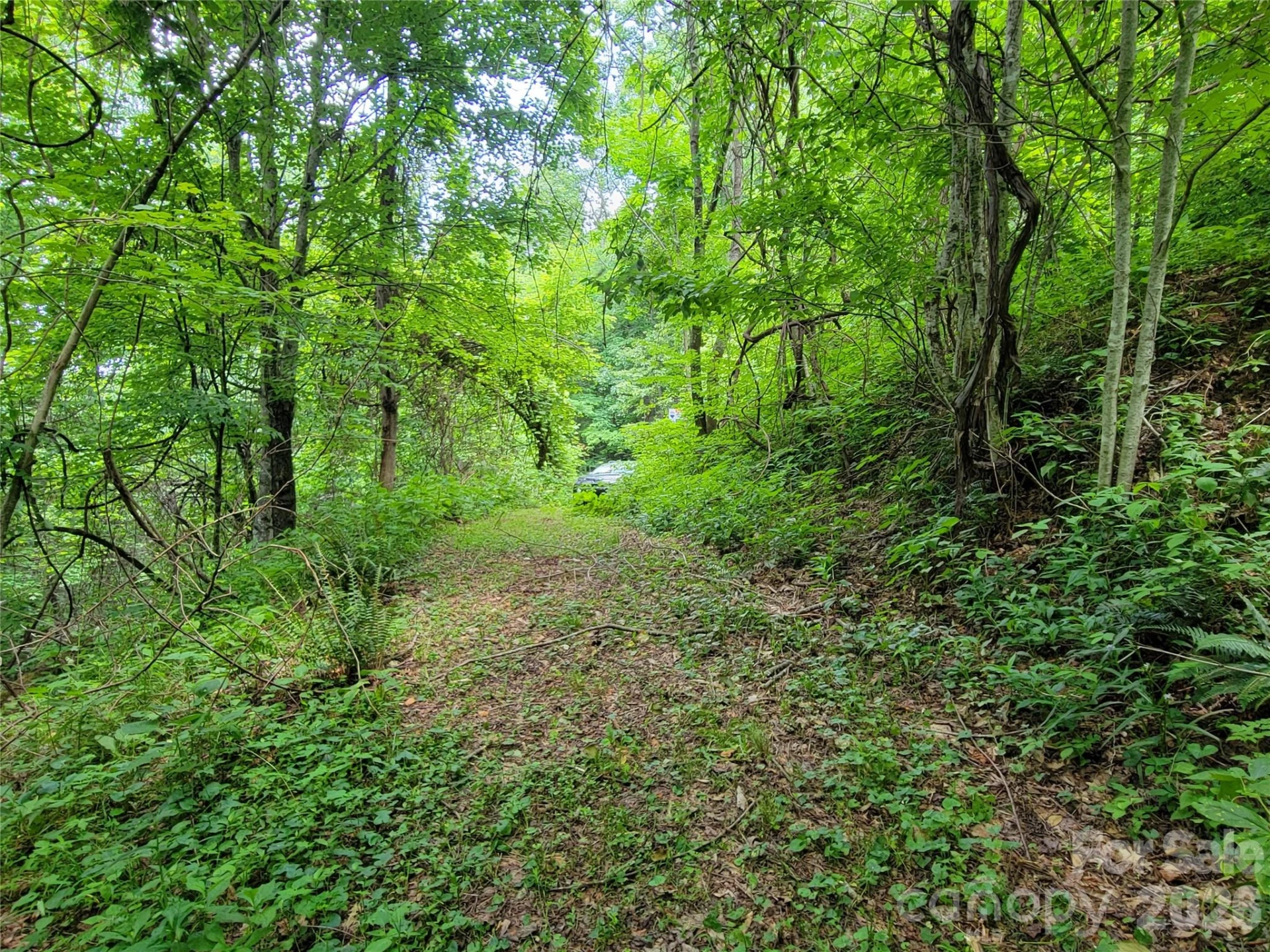 75 Rimrock Ridge #I - Photo 14