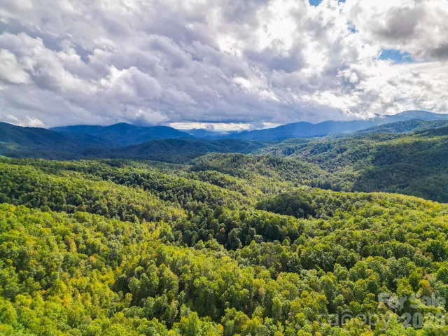 99999 Forest Brook Drive