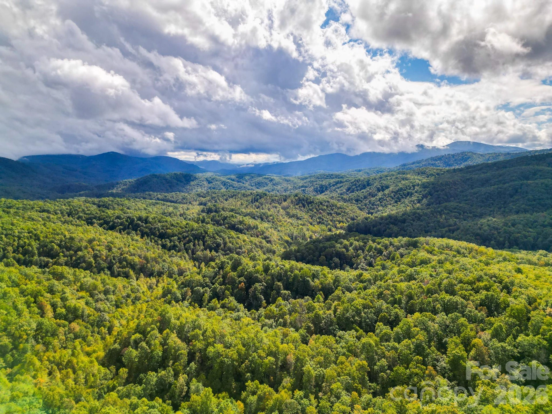 99999 Forest Brook Drive - Photo 2