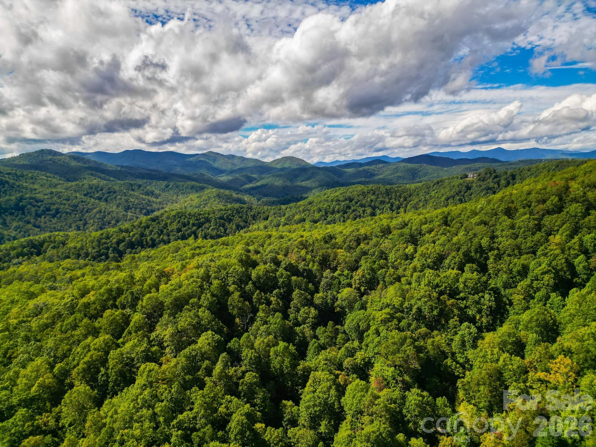 99999 Forest Brook Drive - Photo 4