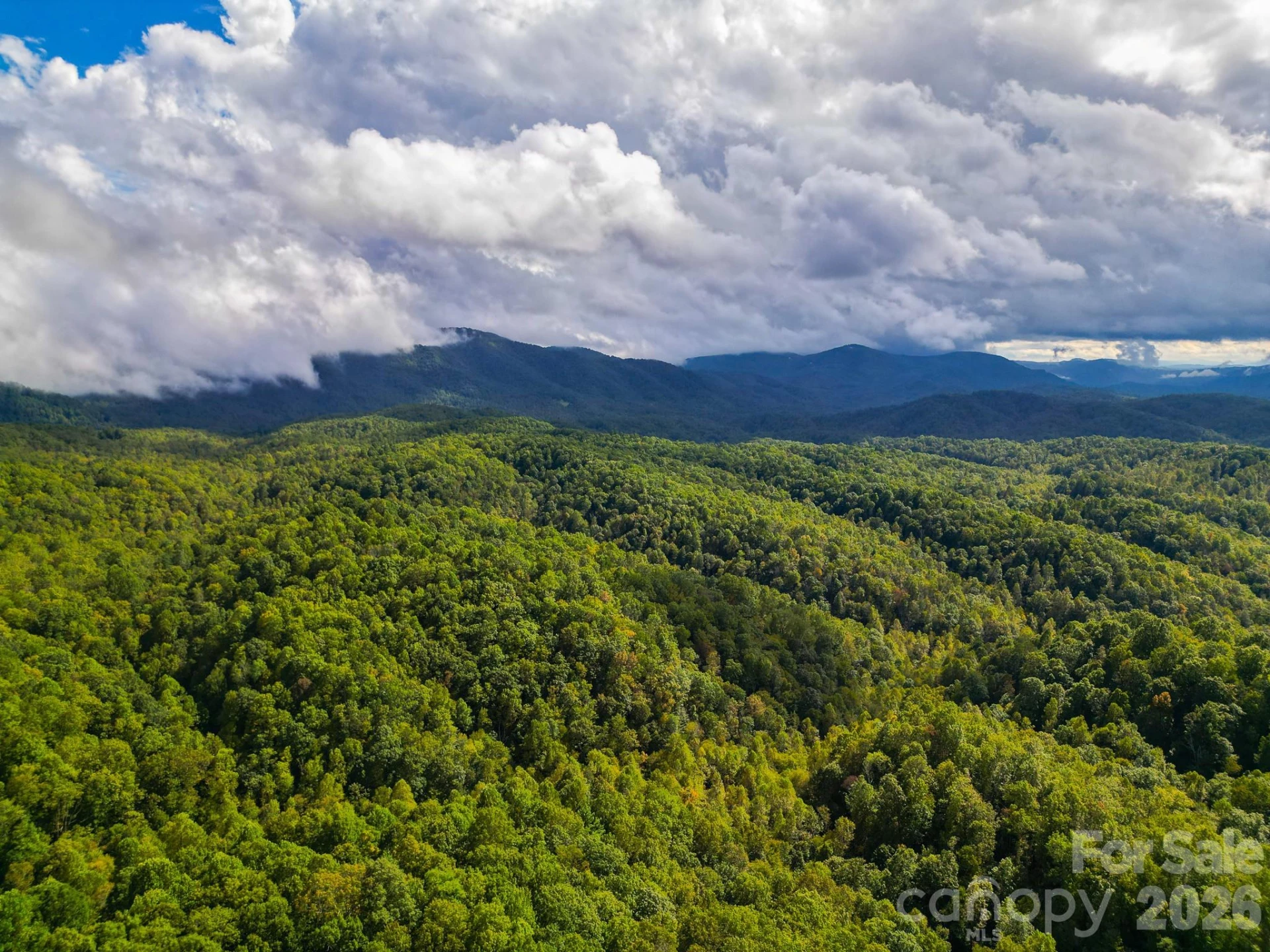 99999 Forest Brook Drive - Photo 5