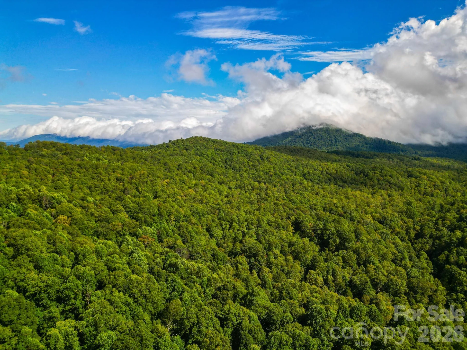 99999 Forest Brook Drive - Photo 6