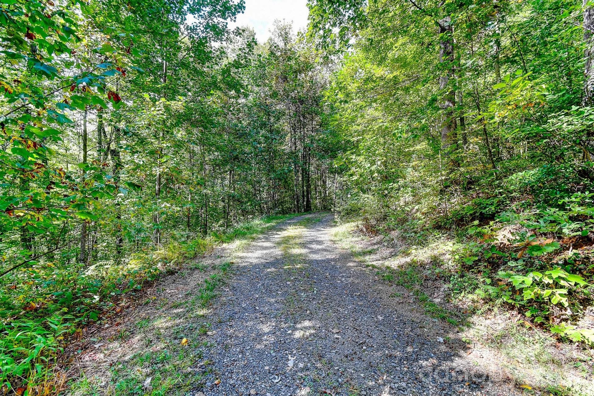 99999 Forest Brook Drive - Photo 9