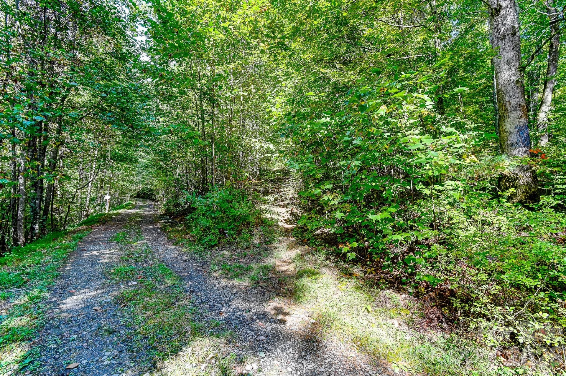 99999 Forest Brook Drive - Photo 10