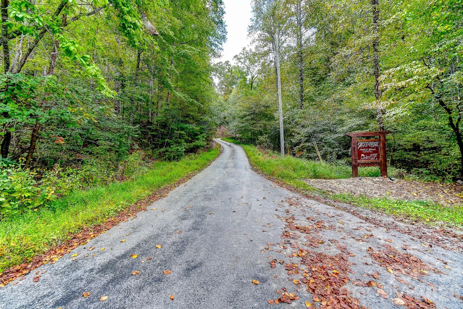 99999 Forest Brook Drive - Photo 11