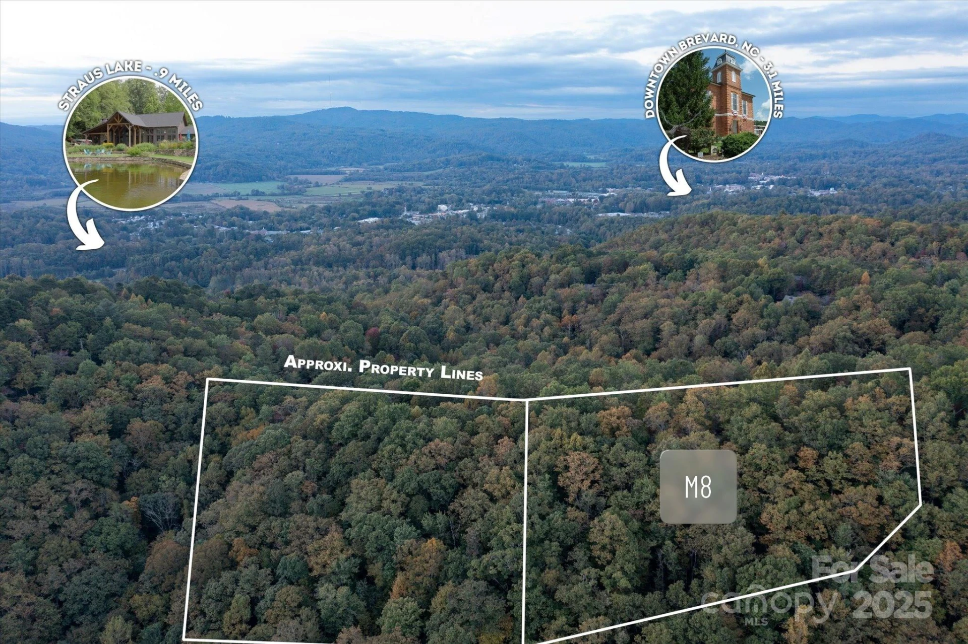 TBD Pine Mountain Trail #M8 - Photo 13