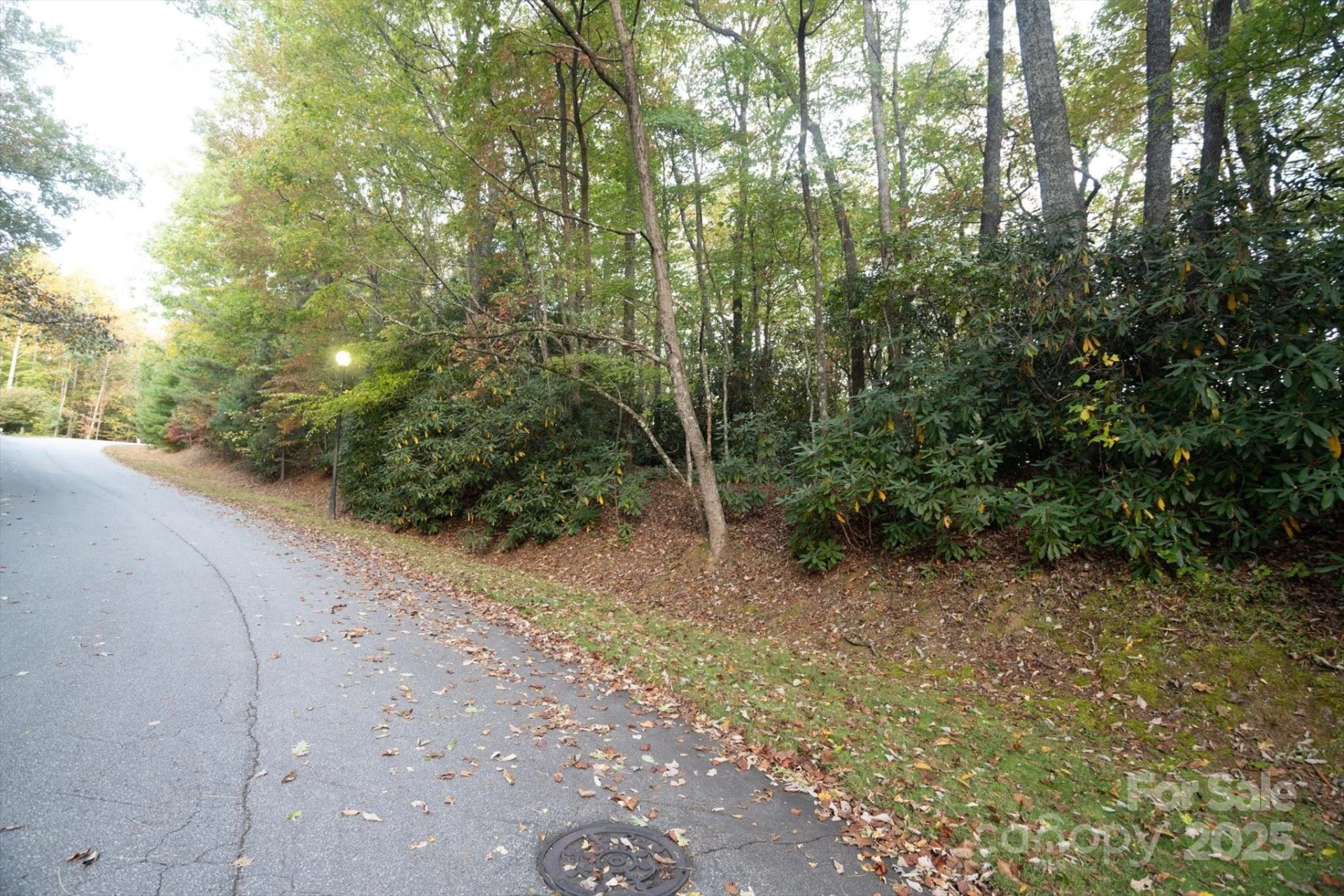 TBD Pine Mountain Trail #M9 - Photo 13
