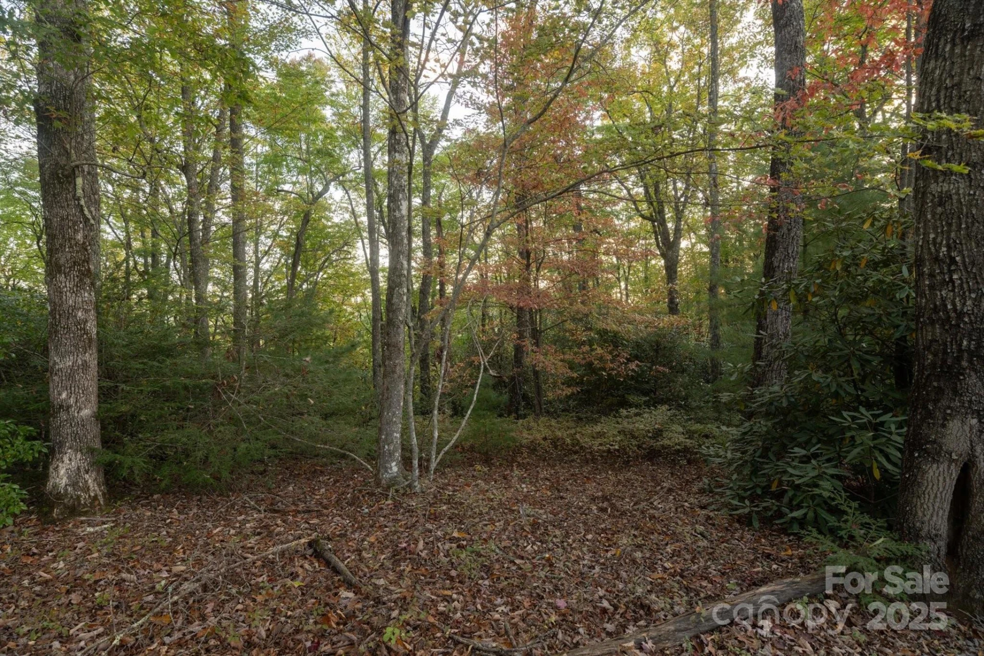 TBD Pine Mountain Trail #M9 - Photo 4