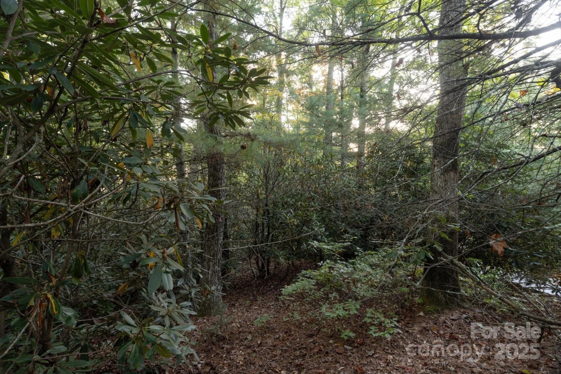 TBD Pine Mountain Trail #M9 - Photo 6