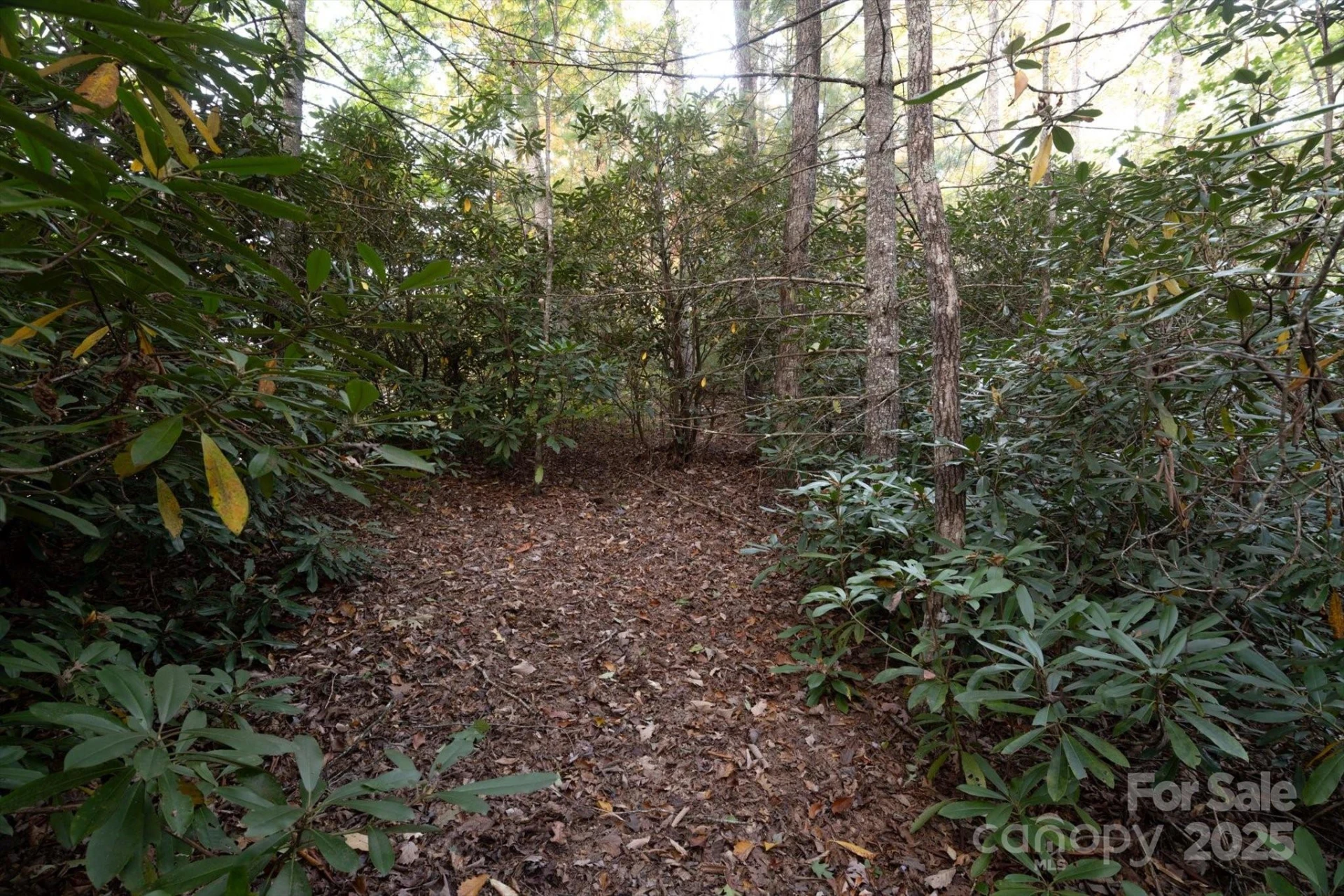 TBD Pine Mountain Trail #M9 - Photo 7