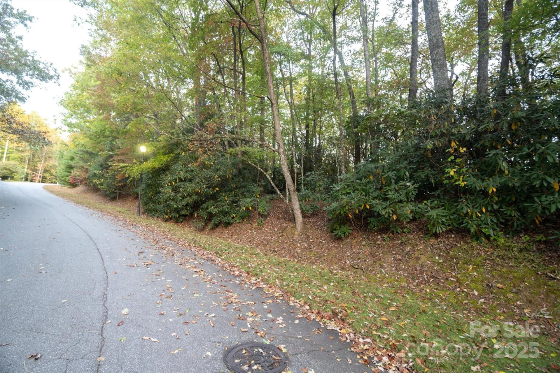 TBD Pine Mountain Trail #M8 & M9 - Photo 2
