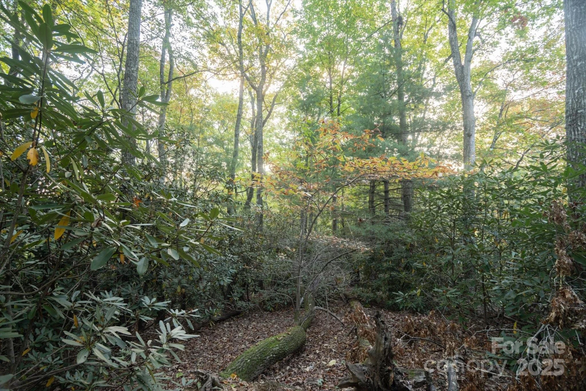 TBD Pine Mountain Trail #M8 & M9 - Photo 11