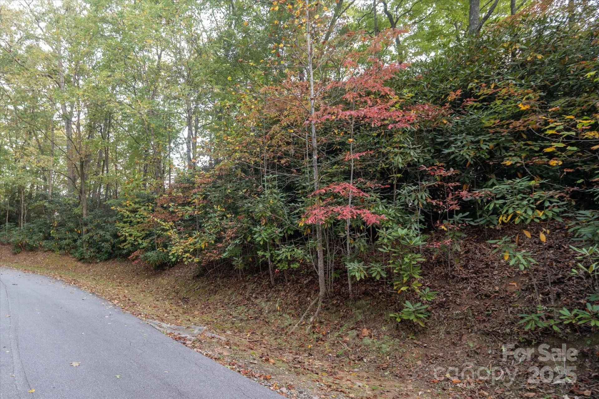 TBD Pine Mountain Trail #M8 & M9 - Photo 3
