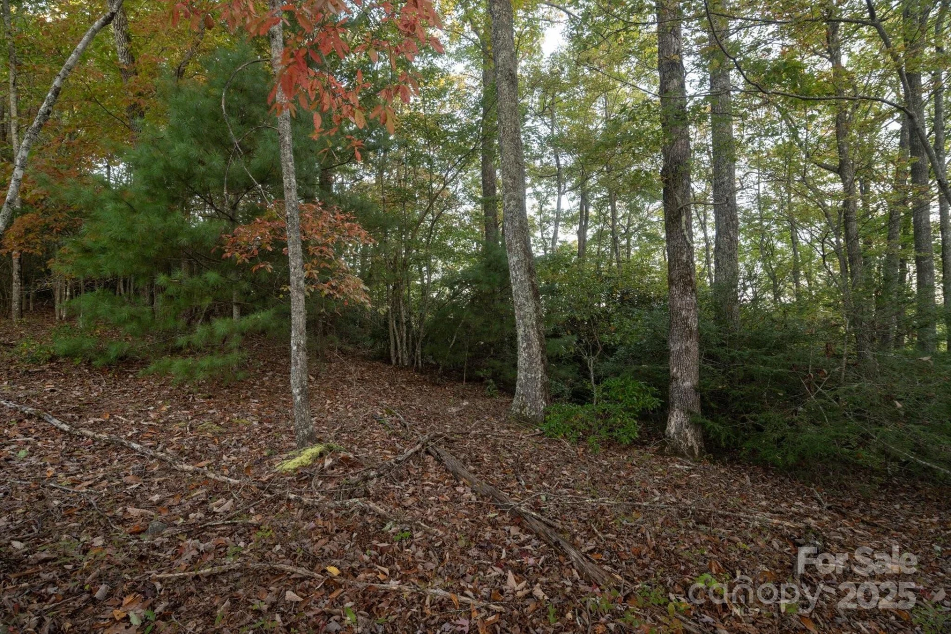 TBD Pine Mountain Trail #M8 & M9 - Photo 6