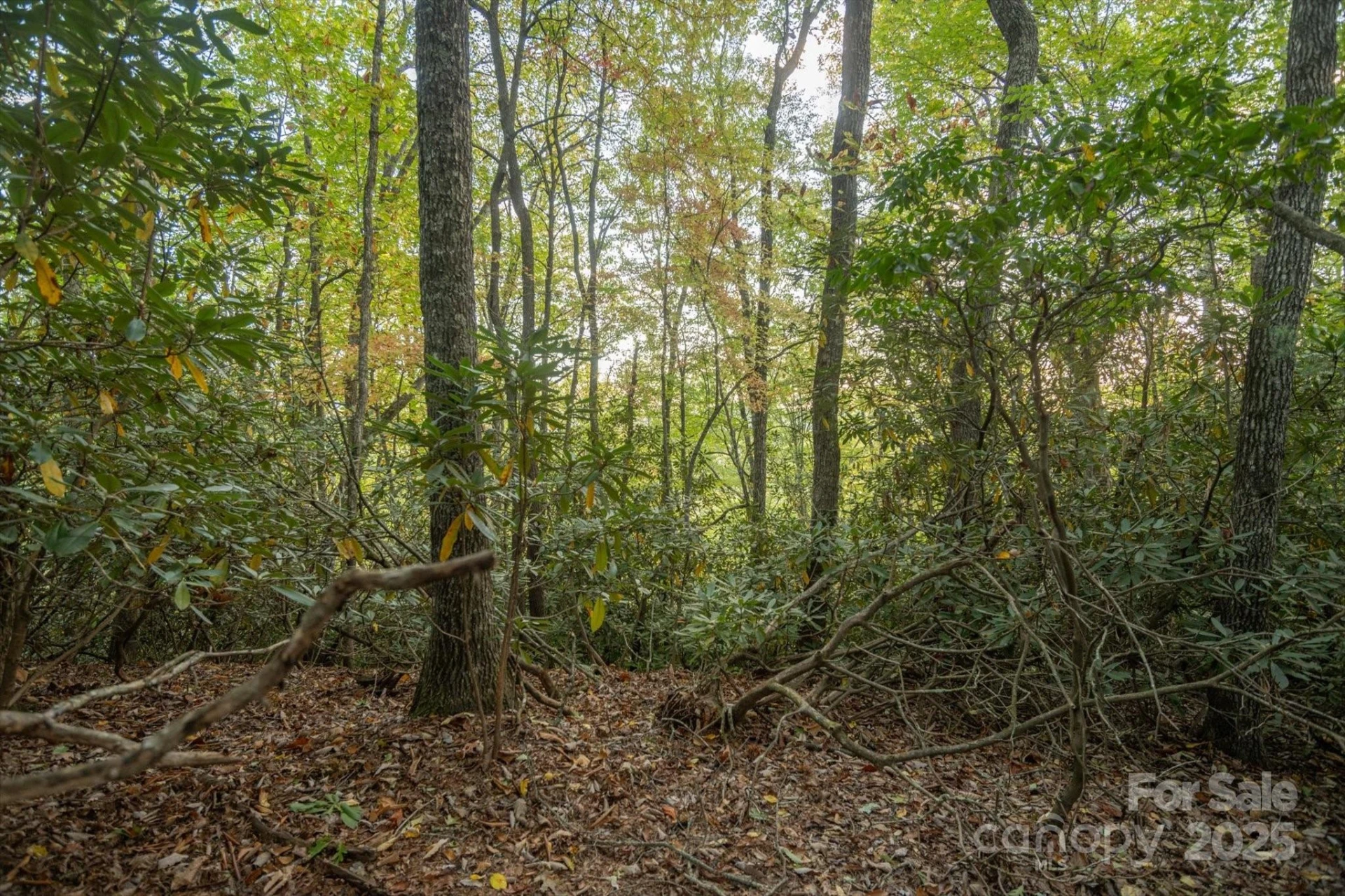 TBD Pine Mountain Trail #M8 & M9 - Photo 9