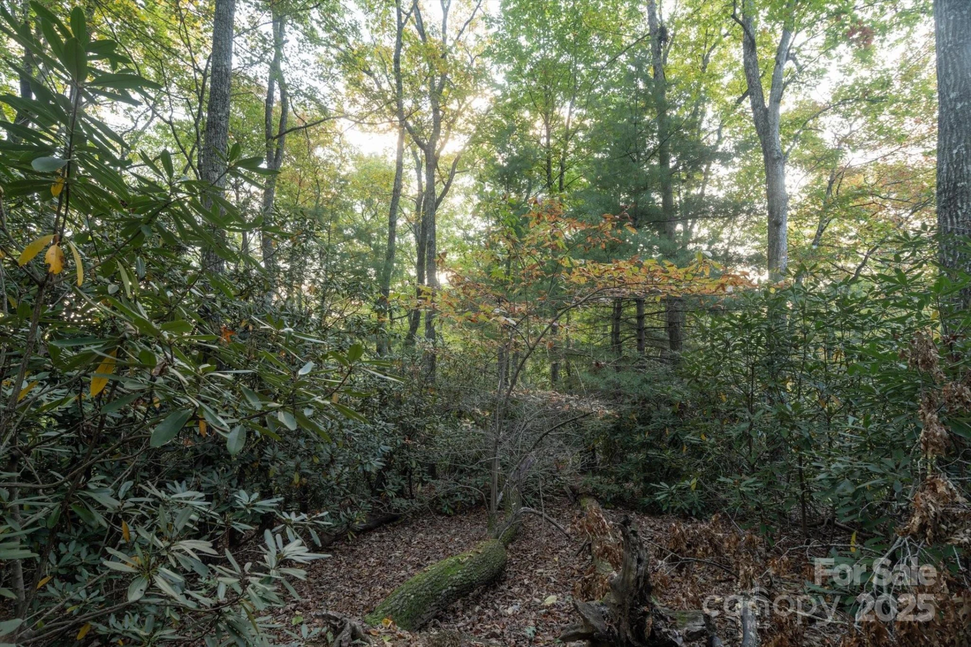 TBD Pine Mountain Trail #M8 & M9 - Photo 10
