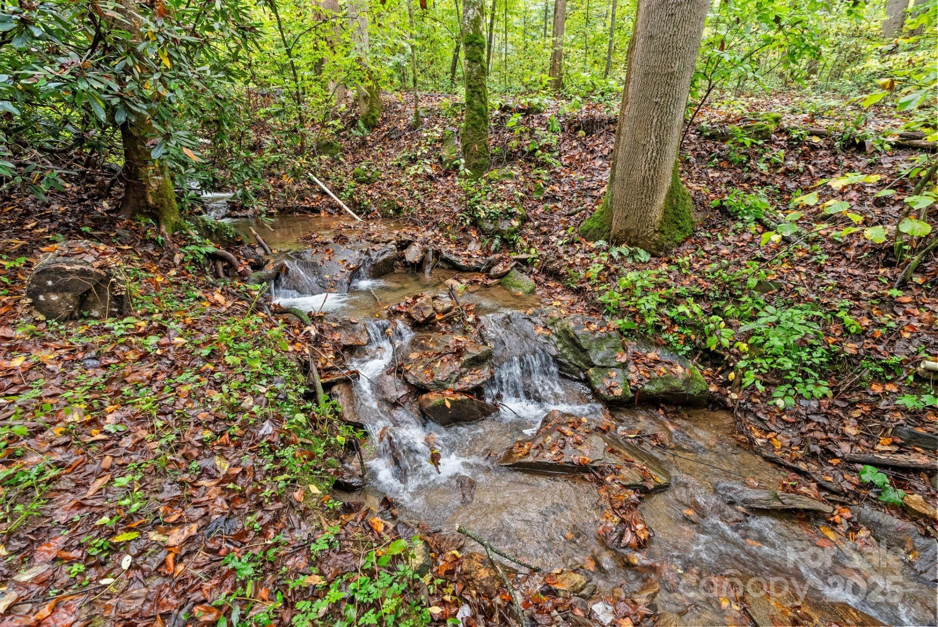 340 Henry Dingus Way - Photo 2