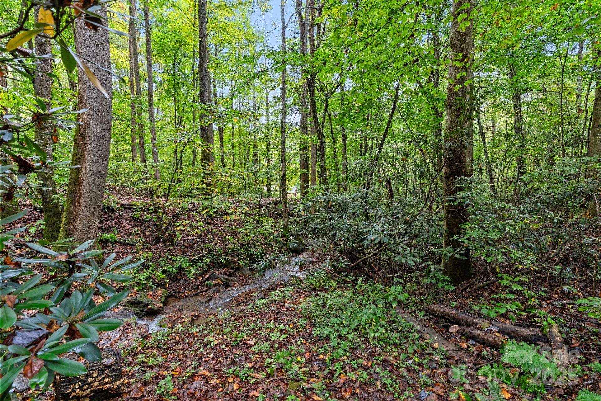 340 Henry Dingus Way - Photo 41