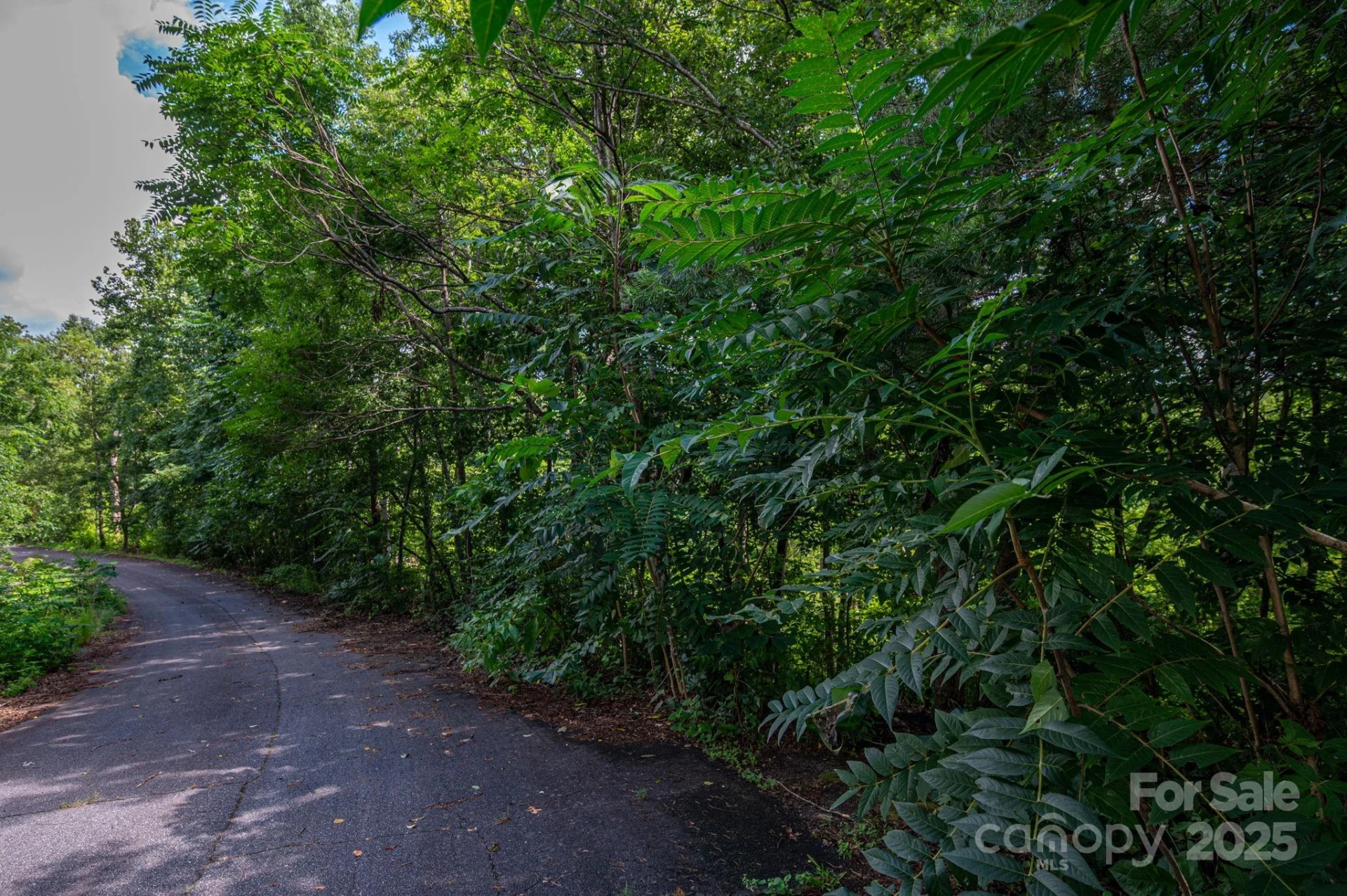 Lot 34 Line Drive - Photo 3