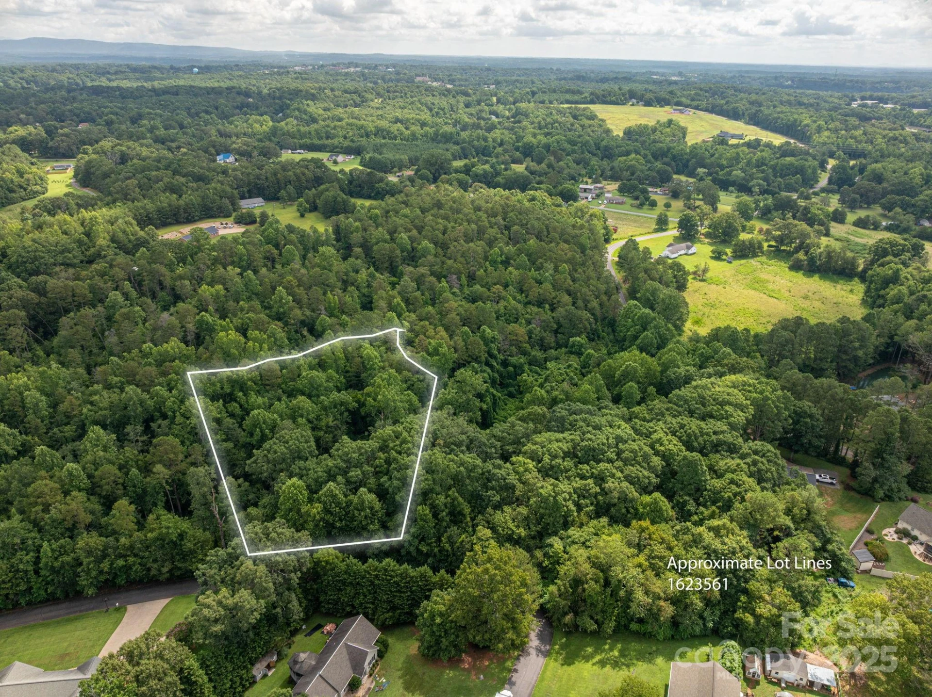 Lot 34 Line Drive - Photo 4