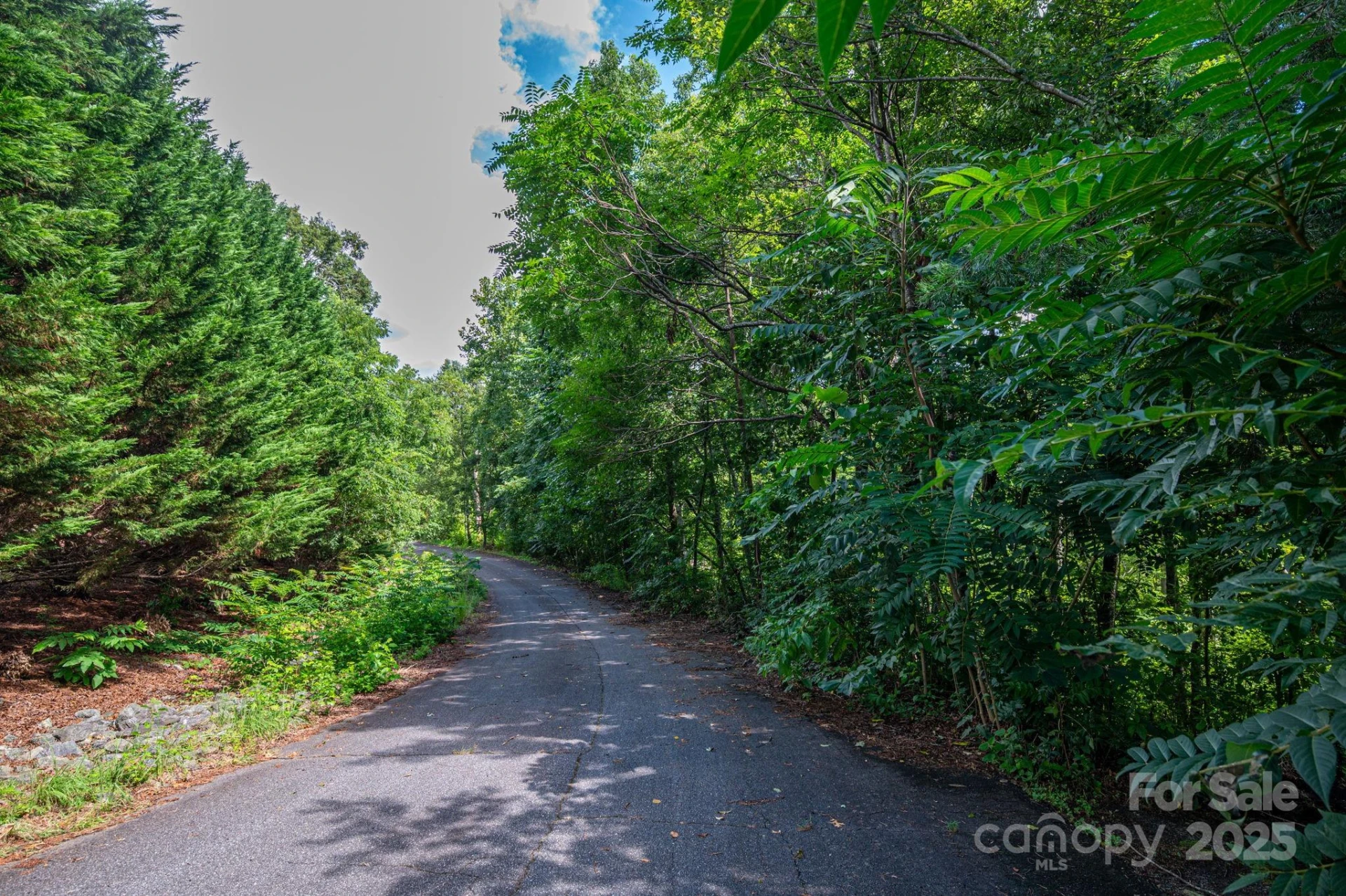Lot 34 Line Drive - Photo 7