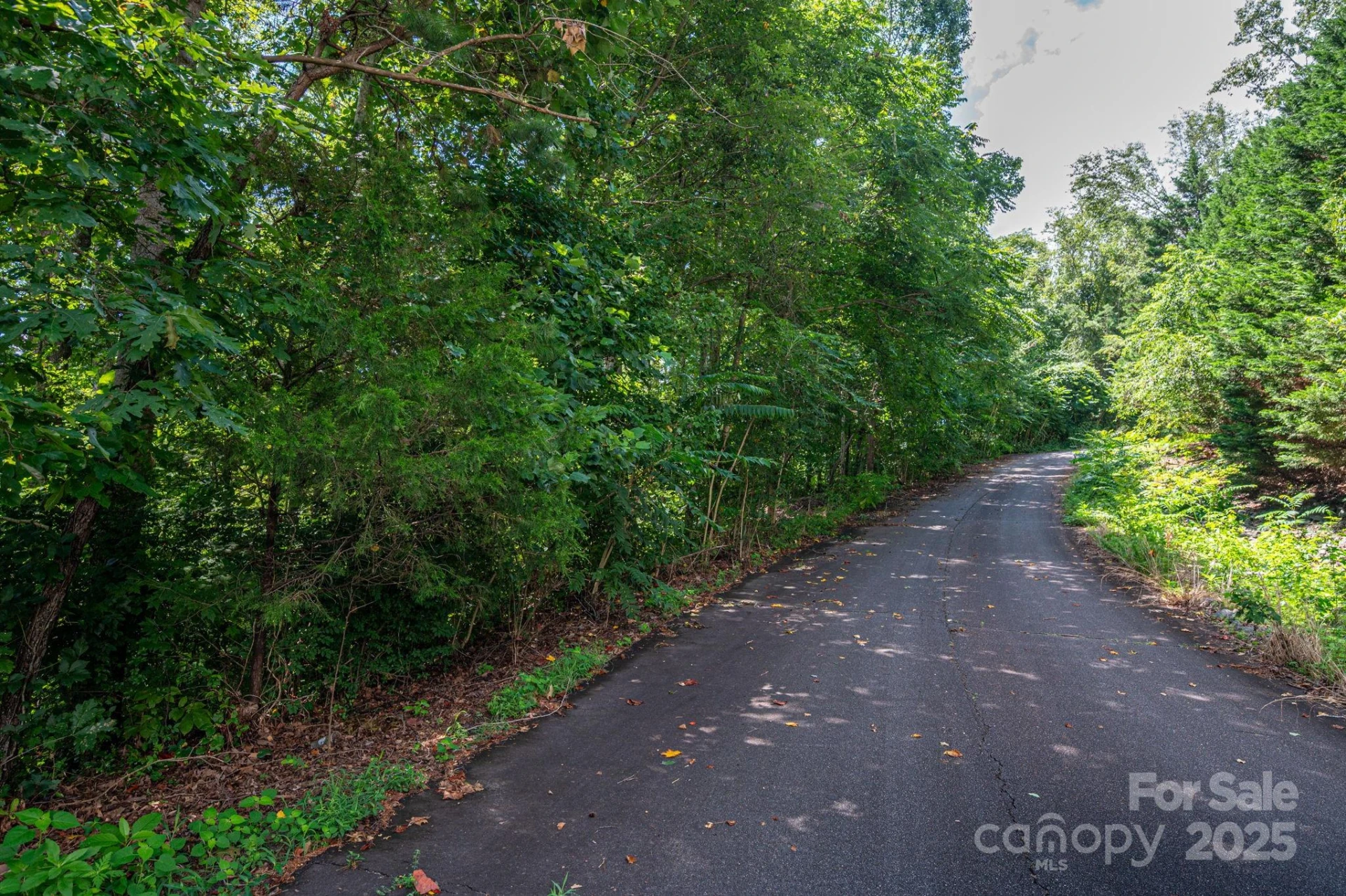 Lot 34 Line Drive - Photo 9