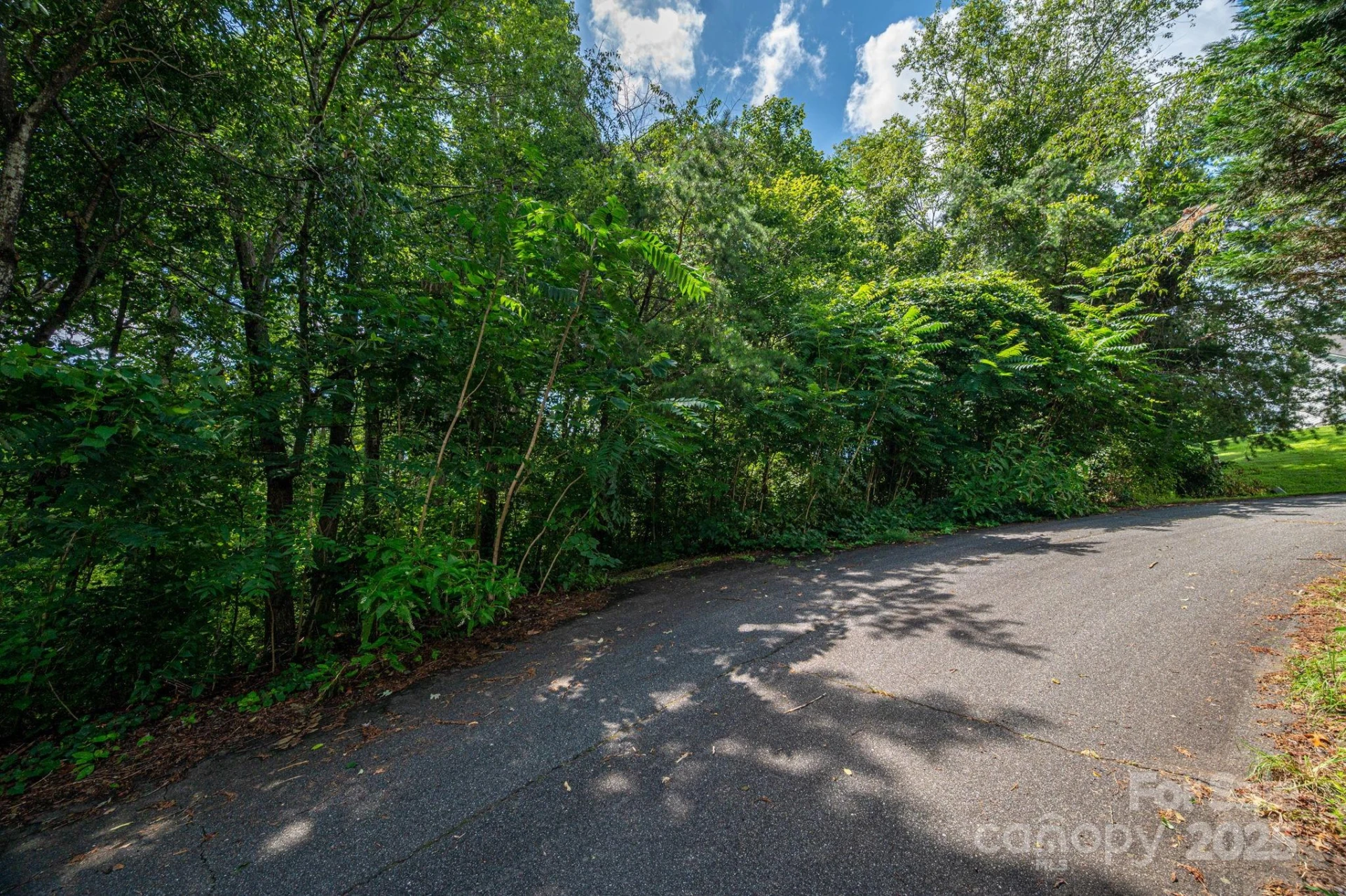 Lot 19 Line Drive