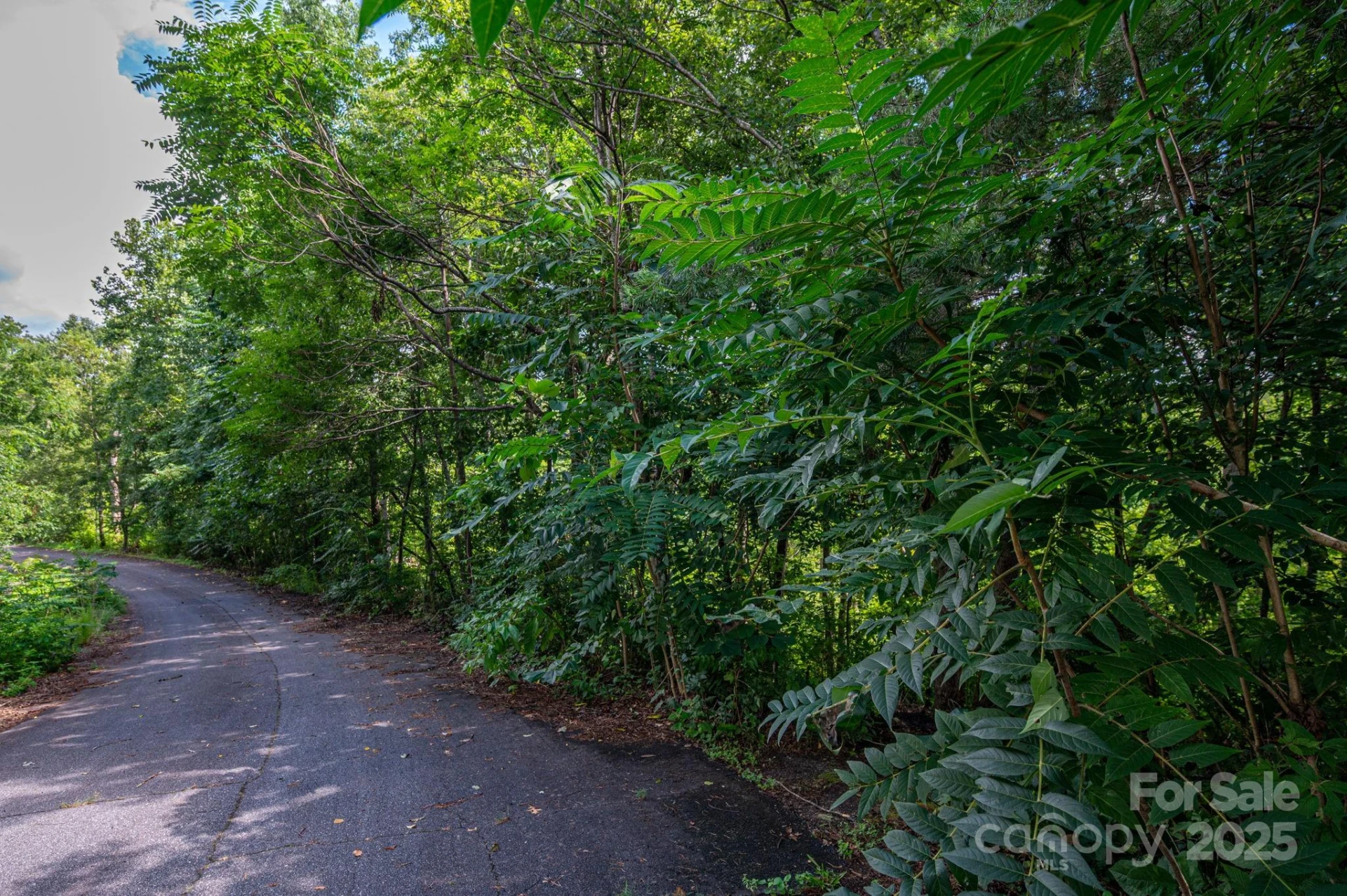 Lot 19 Line Drive - Photo 4