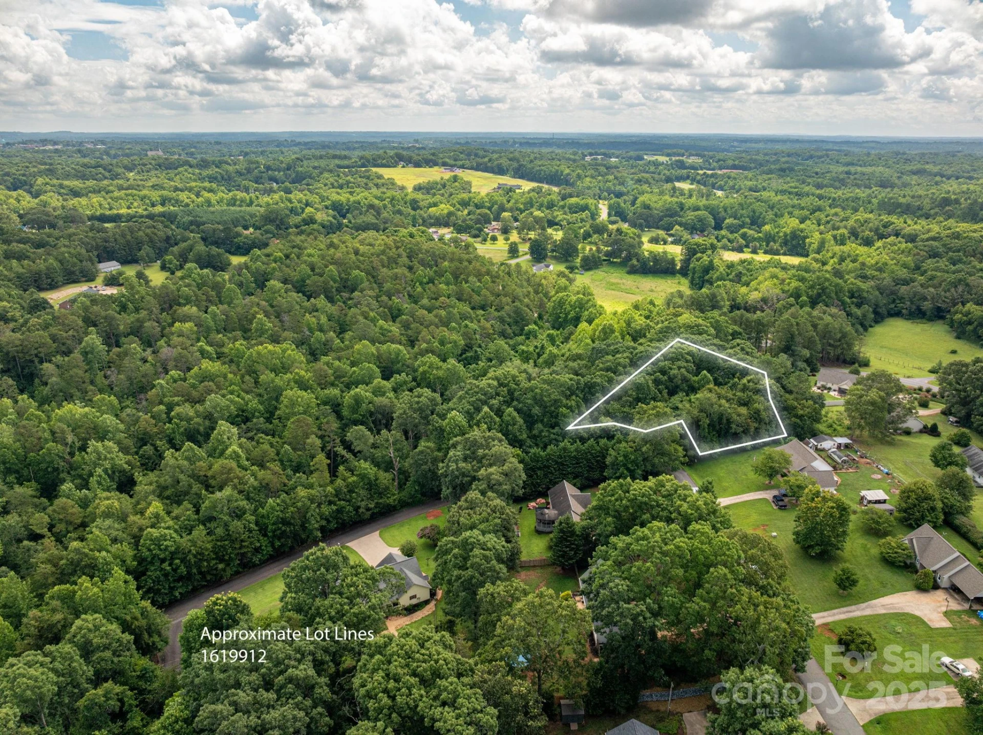 Lot 19 Line Drive - Photo 6