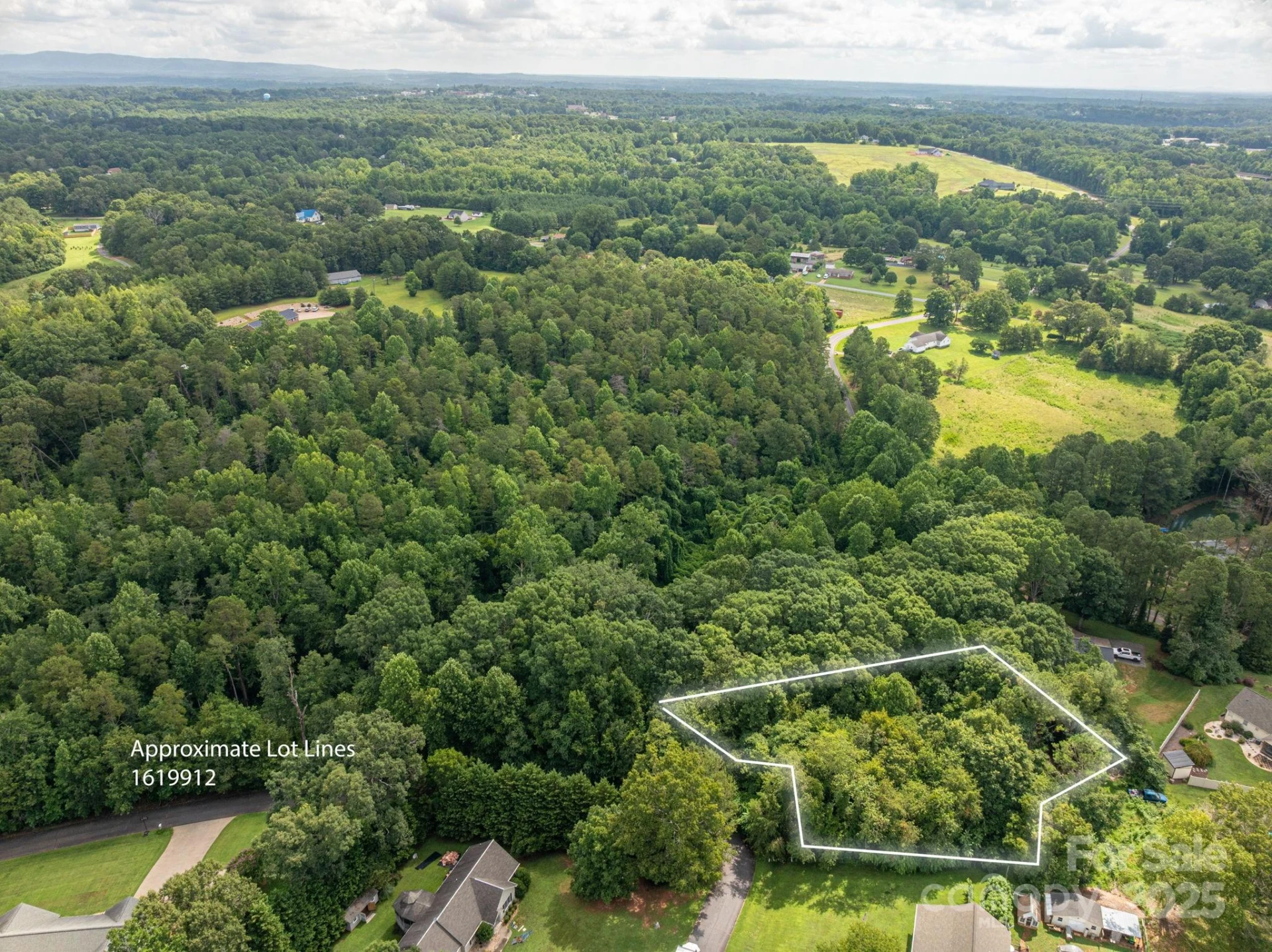 Lot 19 Line Drive - Photo 8