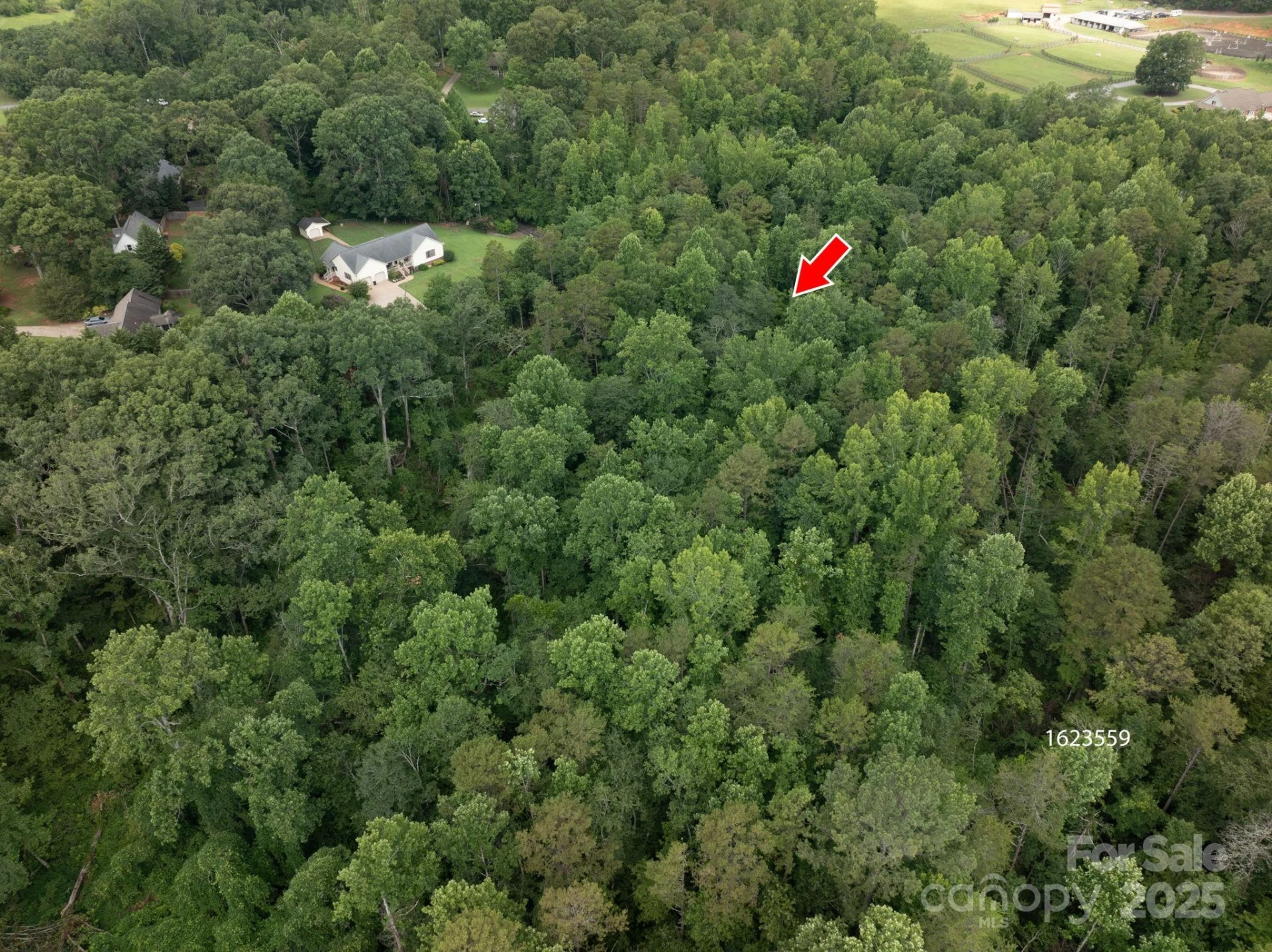 Lot 32 Line Drive - Photo 11