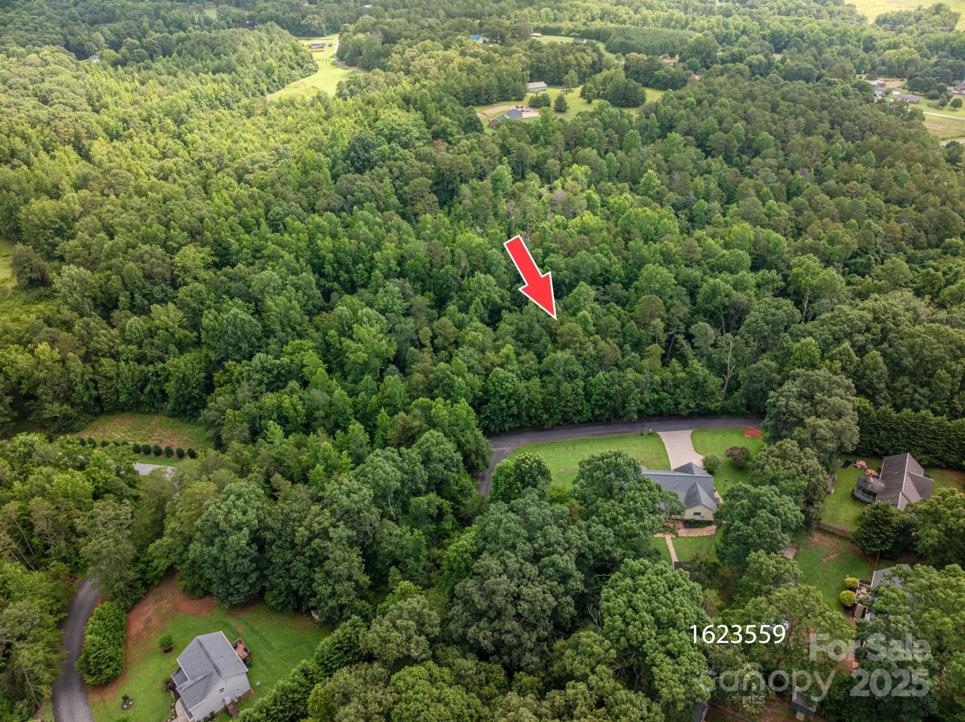 Lot 32 Line Drive - Photo 4