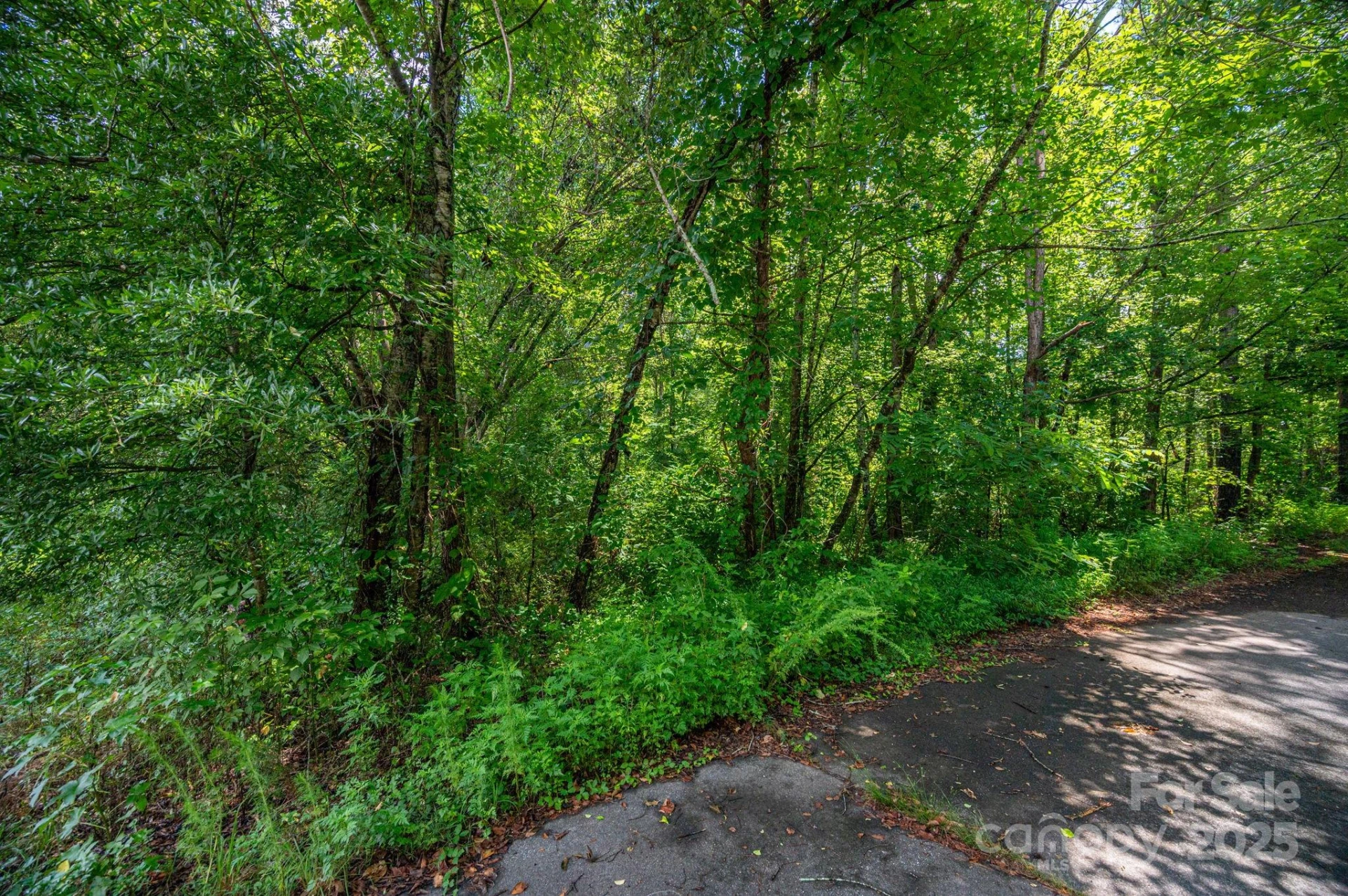 Lot 31 Line Drive - Photo 4