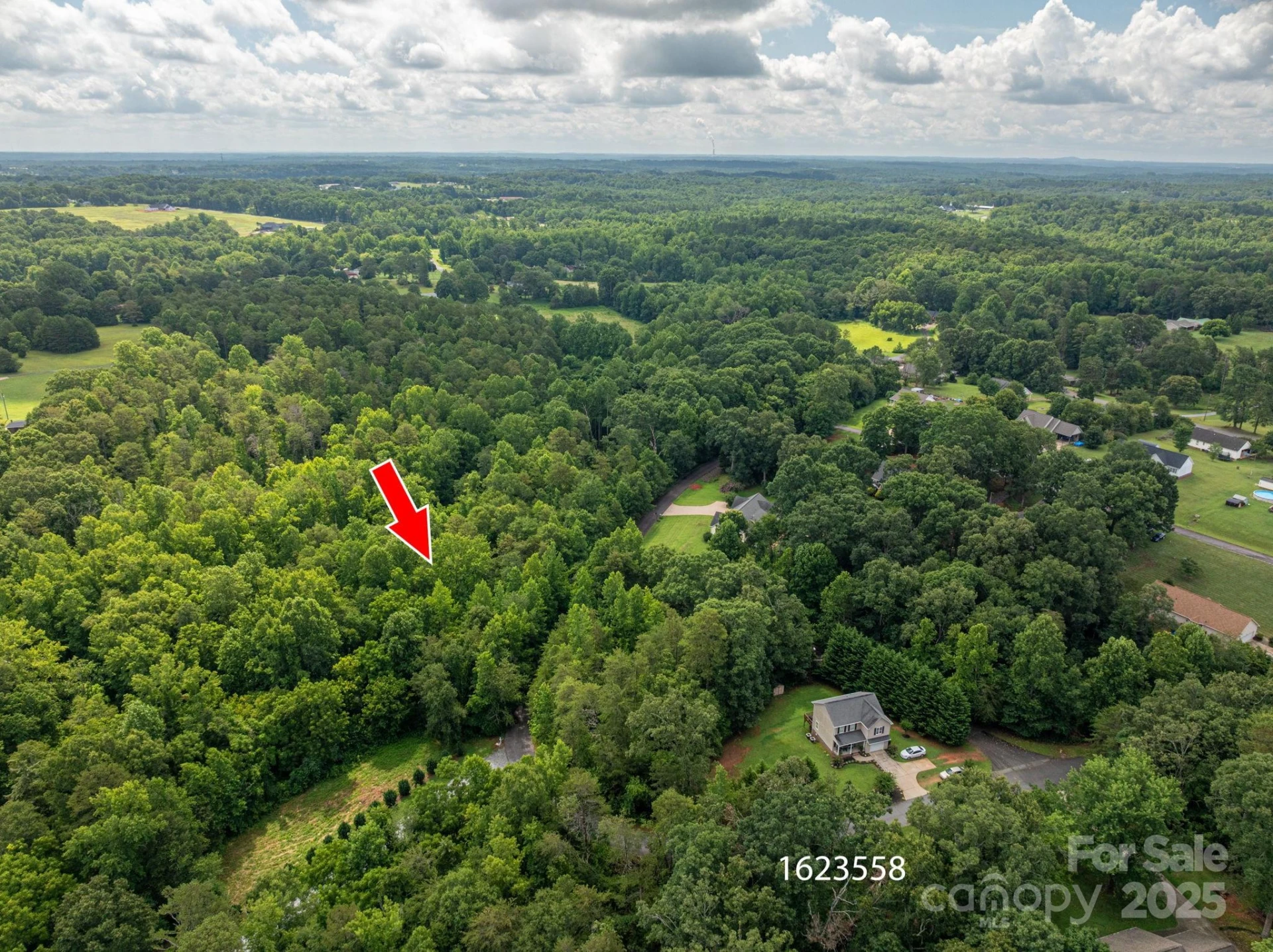 Lot 31 Line Drive - Photo 10