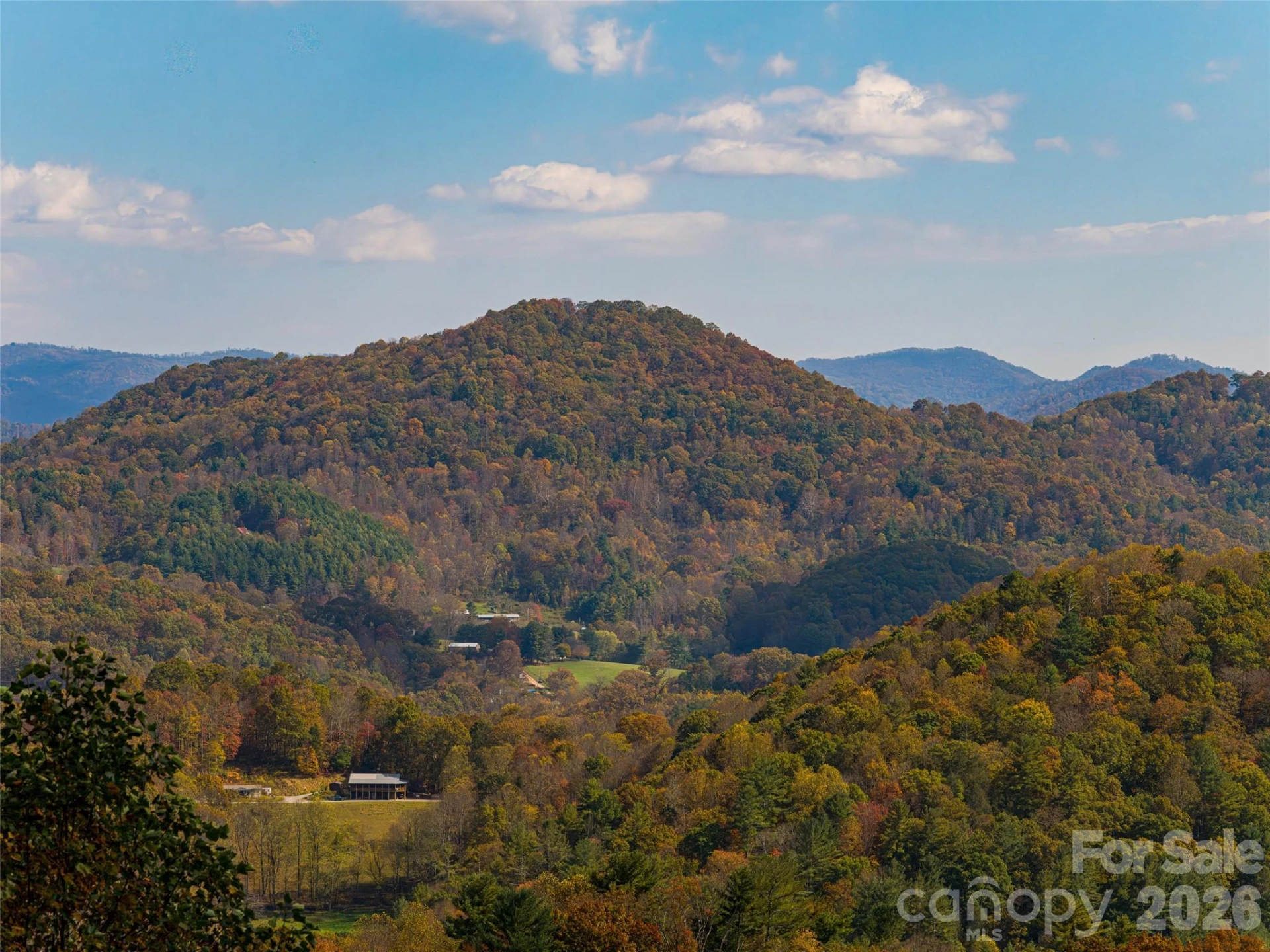 234 Historic Oak Trail - Photo 23