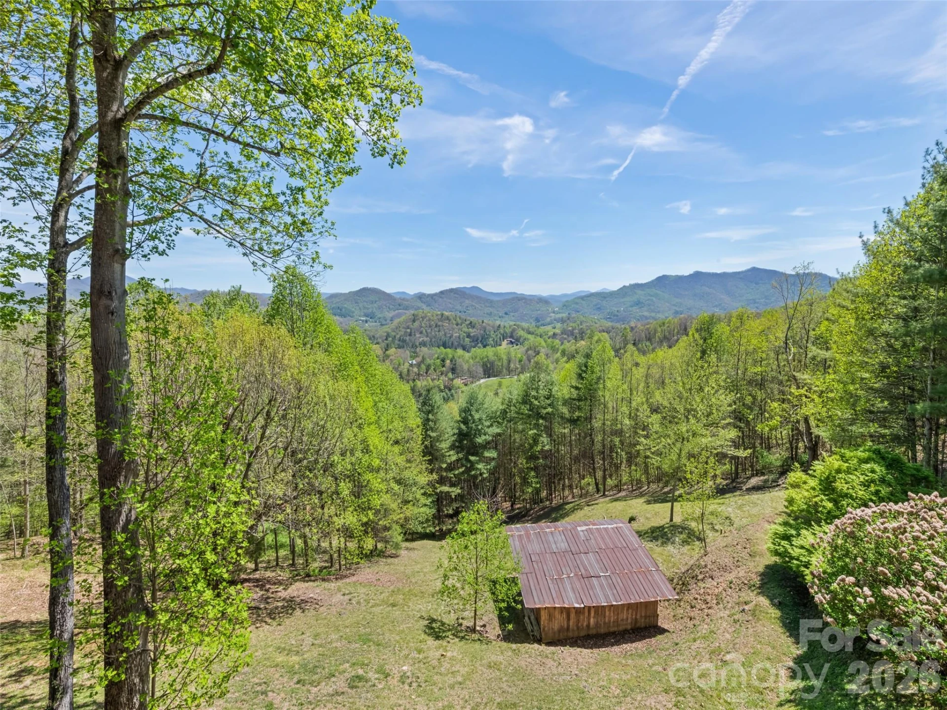 234 Historic Oak Trail - Photo 4