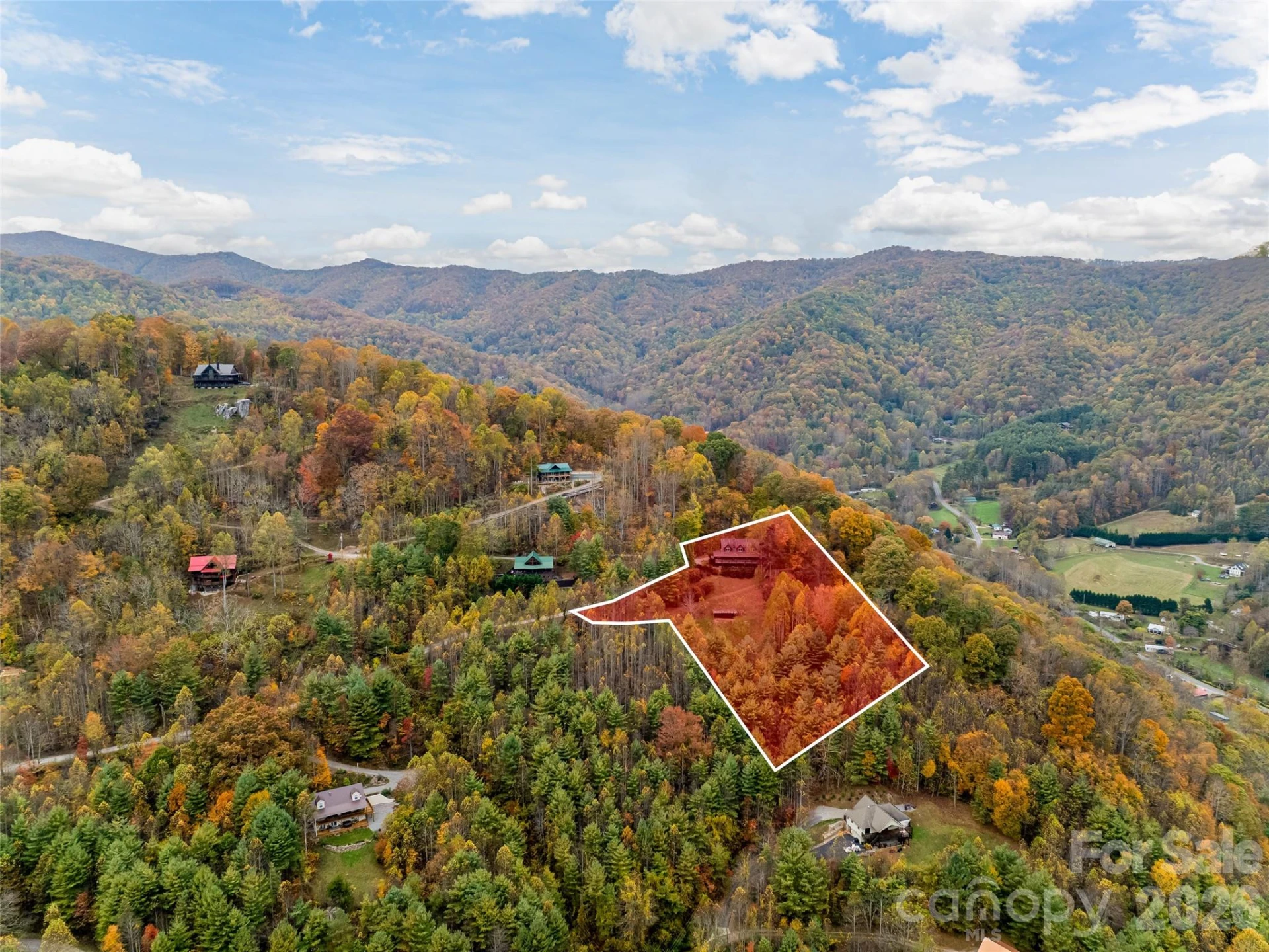 234 Historic Oak Trail - Photo 43