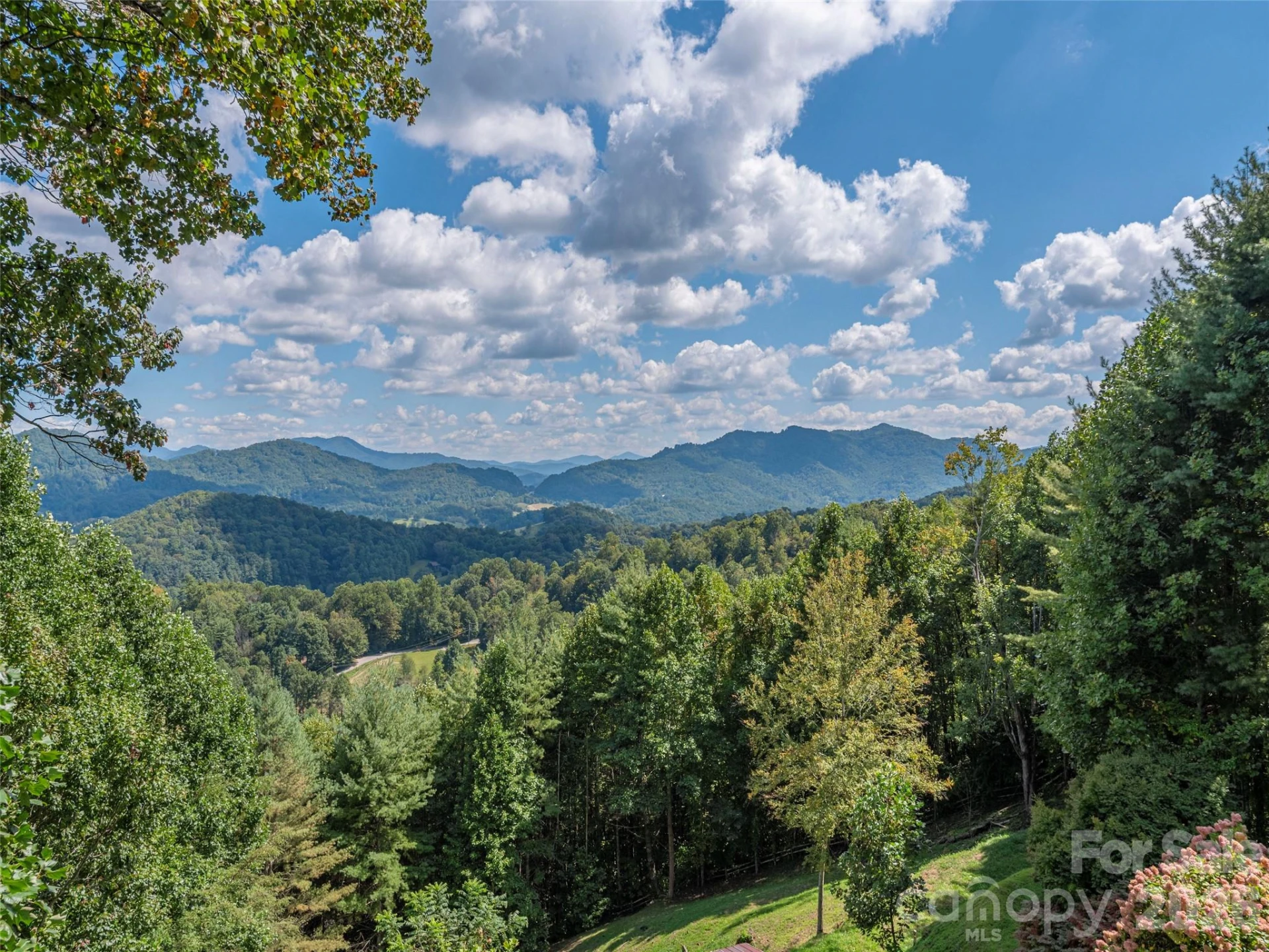 234 Historic Oak Trail - Photo 13