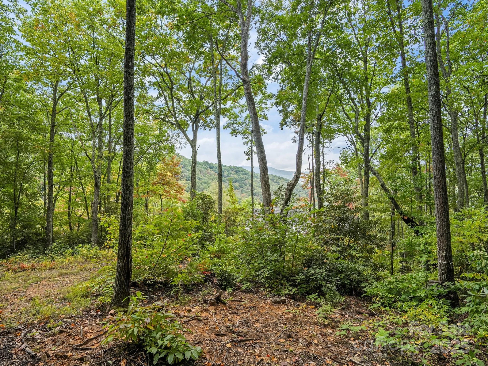 621 Macallan Drive #320 - Photo 10