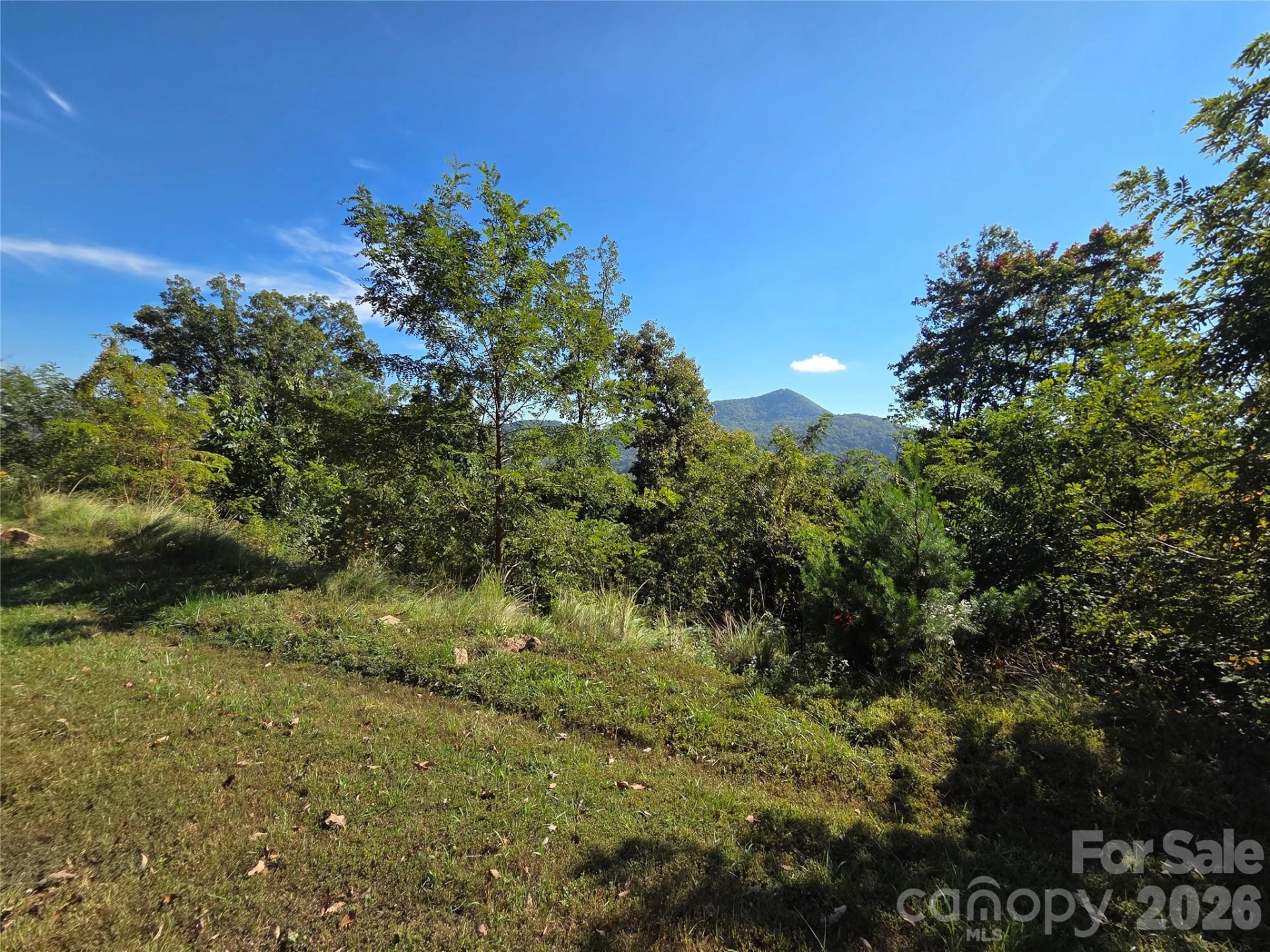 1505 Summit View Drive #20 - Photo 2