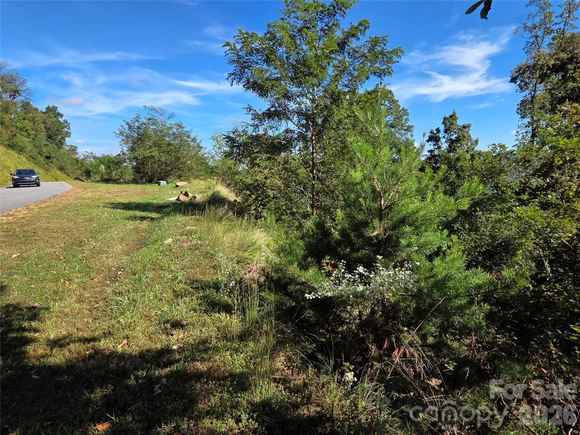 1505 Summit View Drive #20 - Photo 5