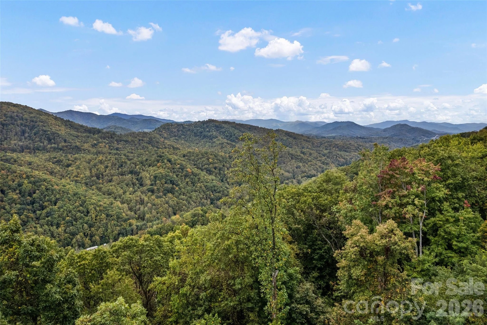 1505 Summit View Drive #20 - Photo 7