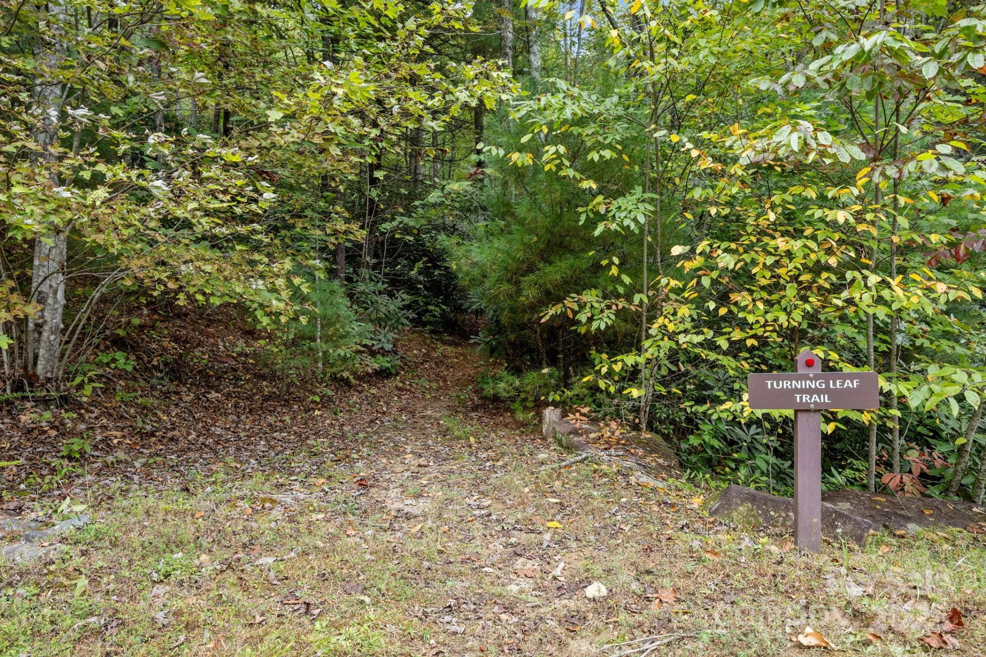 91 Boone Cove Road - Photo 43