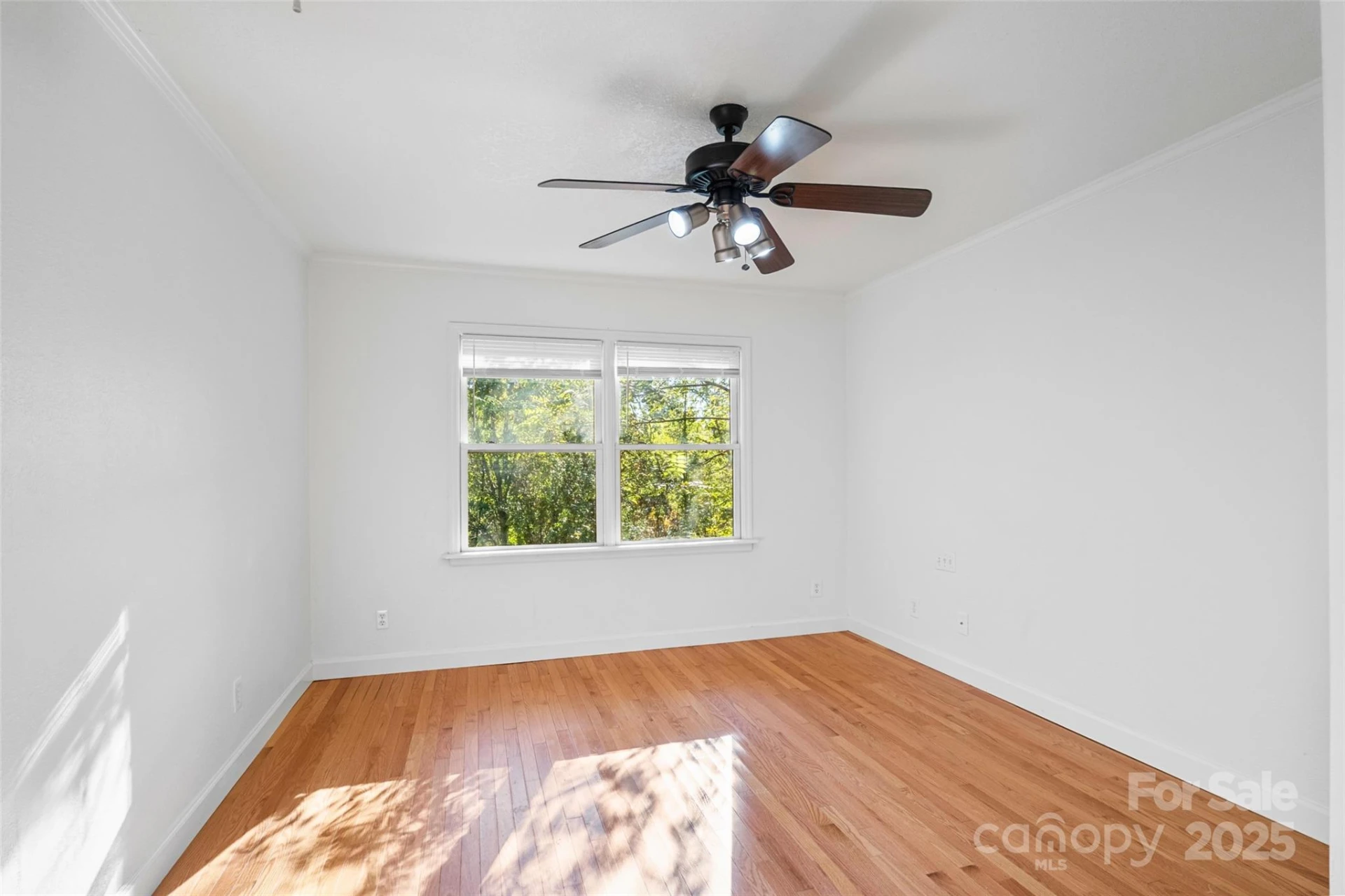 14 Luckenbach Drive - Photo 12