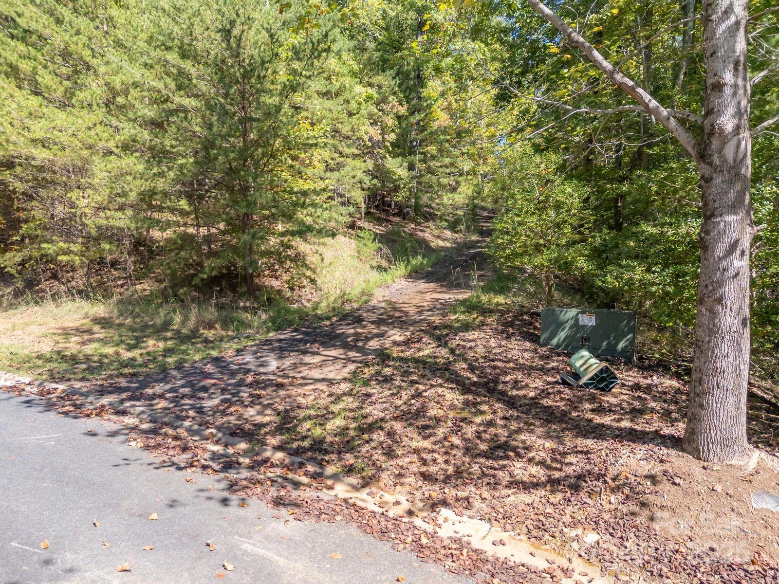 0 Mountain Parkway #29 - Photo 9