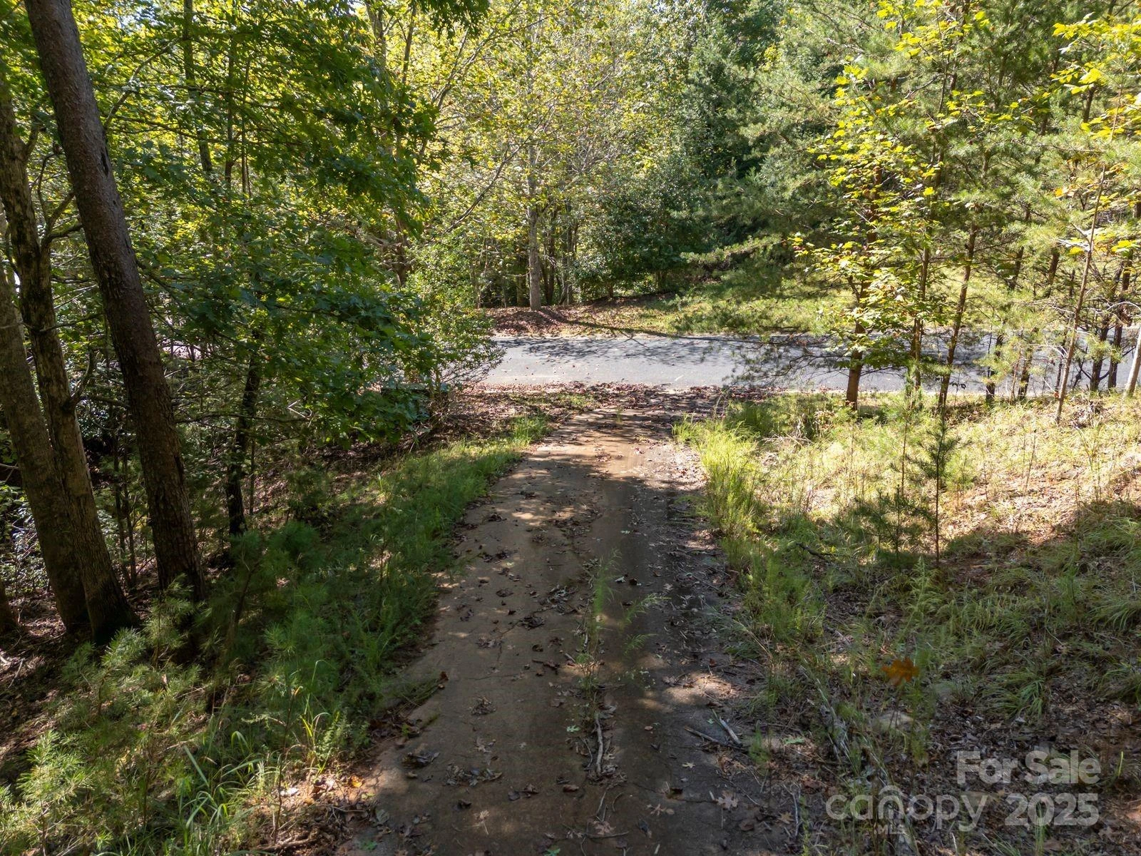 0 Mountain Parkway #29 - Photo 10
