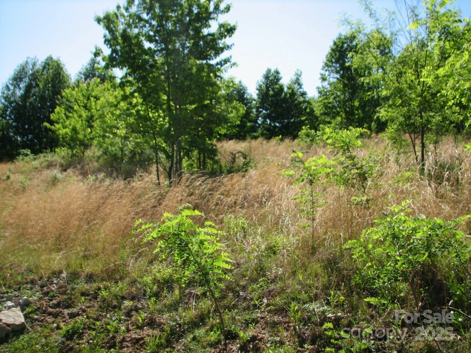 0000 Double Eagle Drive #25 - Photo 26