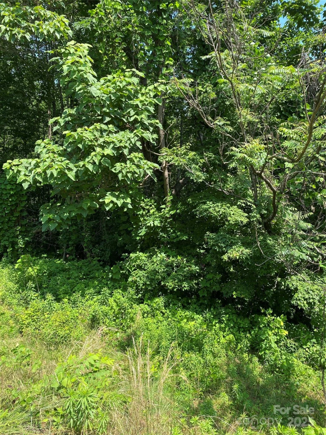 0000 Double Eagle Drive #25 - Photo 27