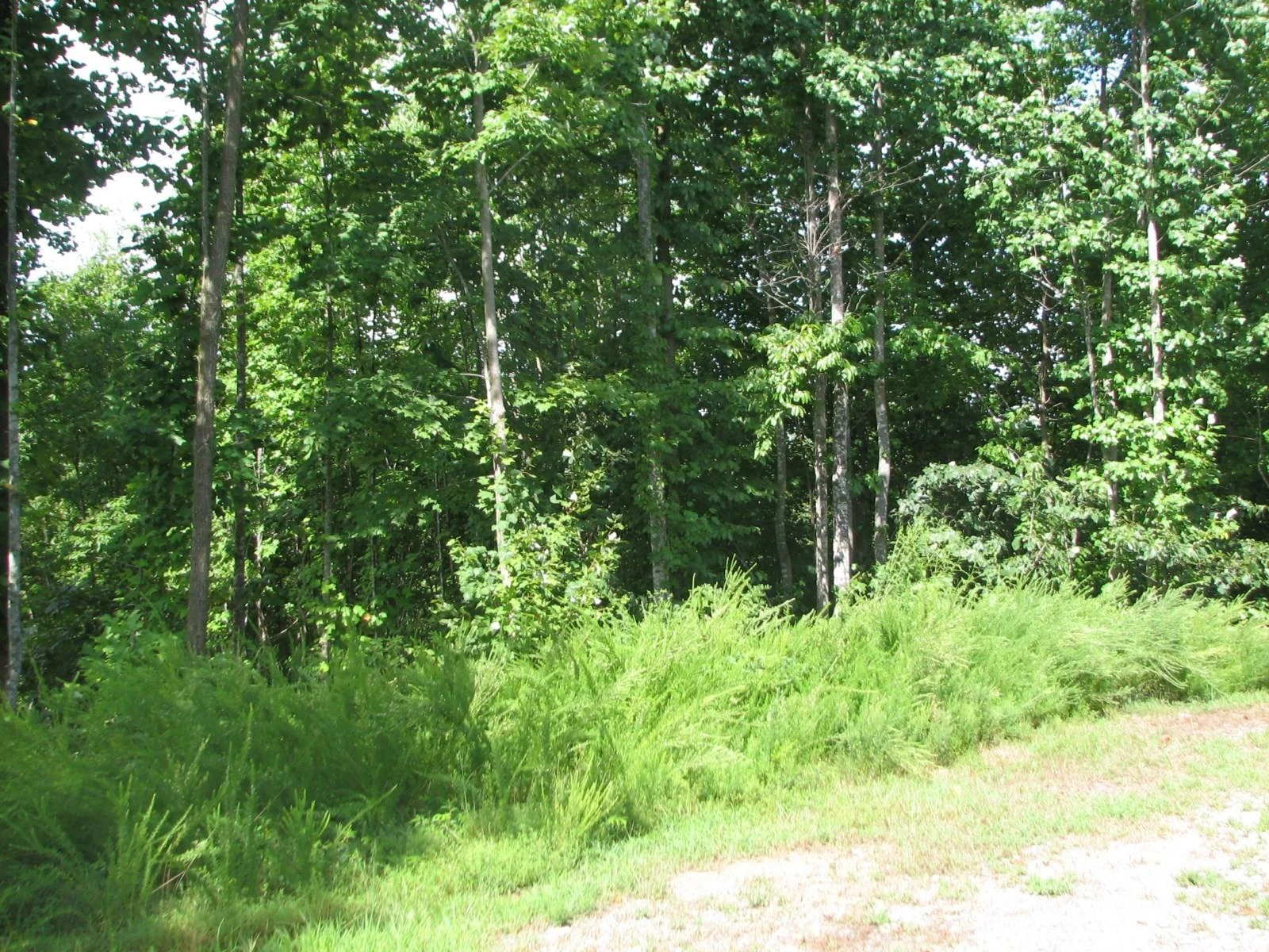 0000 Double Eagle Drive #25 - Photo 8