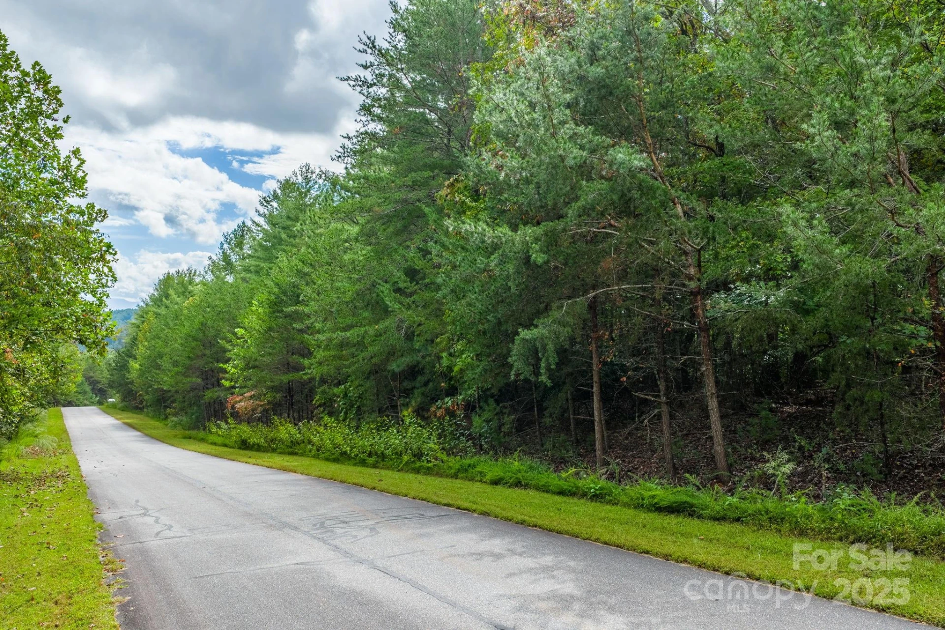 913 Bear Cliff Drive #24 - Photo 11